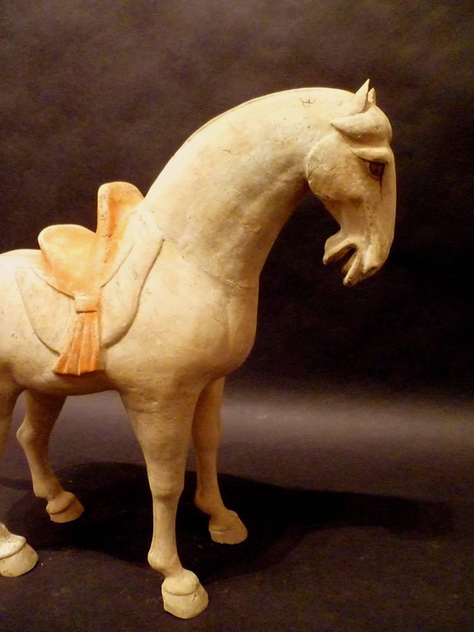 Fine Tang Dynasty Pottery Horse, TL Tested In Good Condition In Greenwich, CT
