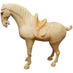 Fine Tang Dynasty Pottery Horse, TL Tested