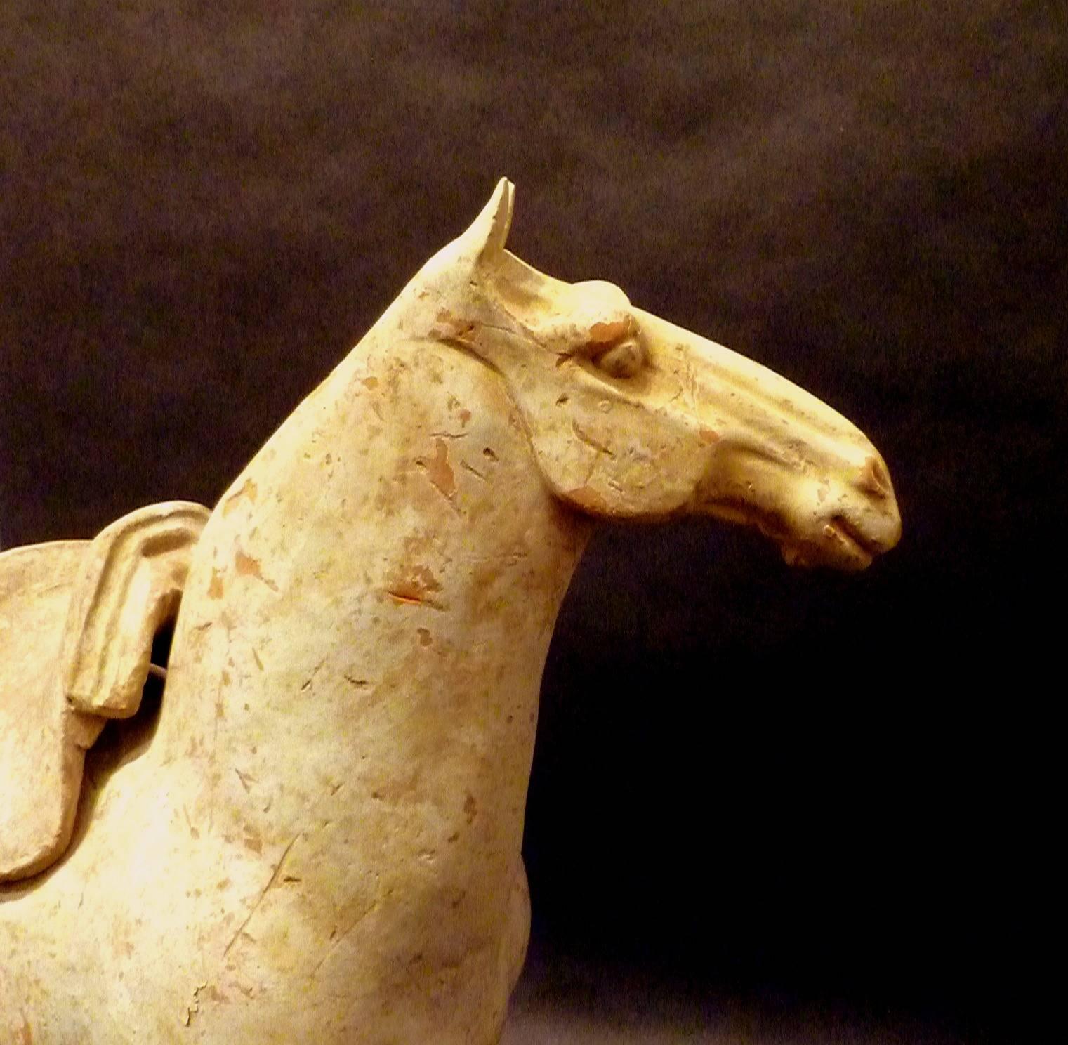 Fine Tang Dynasty Pottery Horse, Oxford TL Tested In Good Condition For Sale In Greenwich, CT