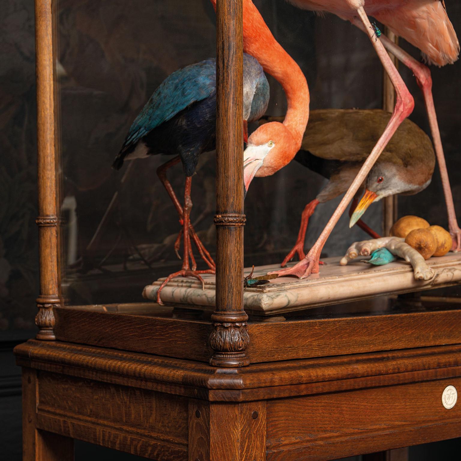 Fine Taxidermy American Flamingo Inspired by Audubon by Sinke & Van Tongeren For Sale 7