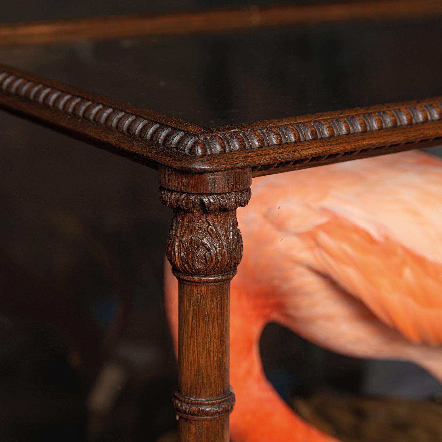 Fine Taxidermy American Flamingo Inspired by Audubon by Sinke & Van Tongeren For Sale 8