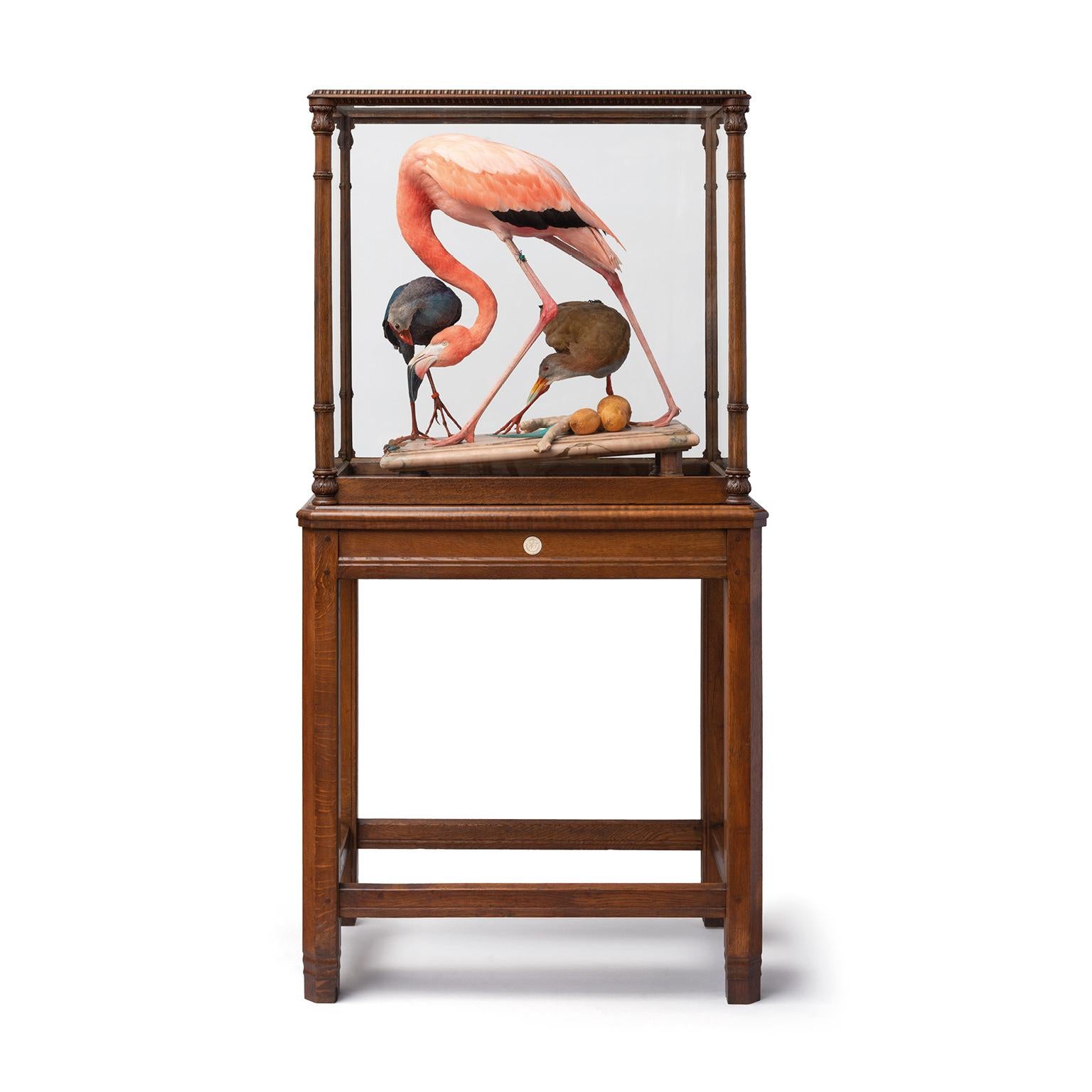 The Haarlem taxidermists Jaap Sinke and Ferry van Tongeren have recreated Audubon’s iconic flamingo especially for the ‘Vogelpracht’ exhibition at Teylers Museum. As an artist, John James Audubon is one of the sources of inspiration for their own