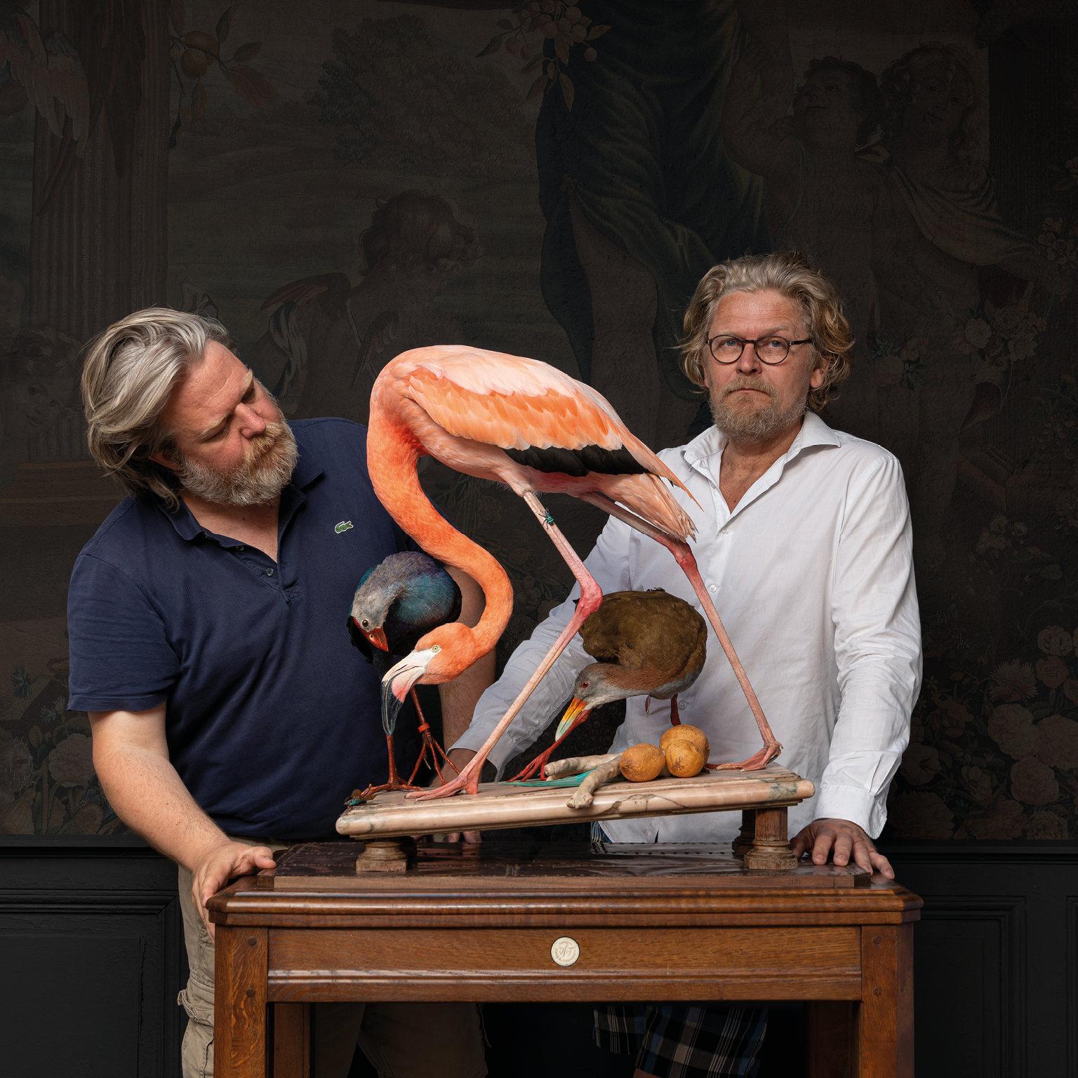 XXIe siècle et contemporain Fine Taxidermie américaine Flamingo inspirée par Audubon par Sinke & Van Tongeren en vente