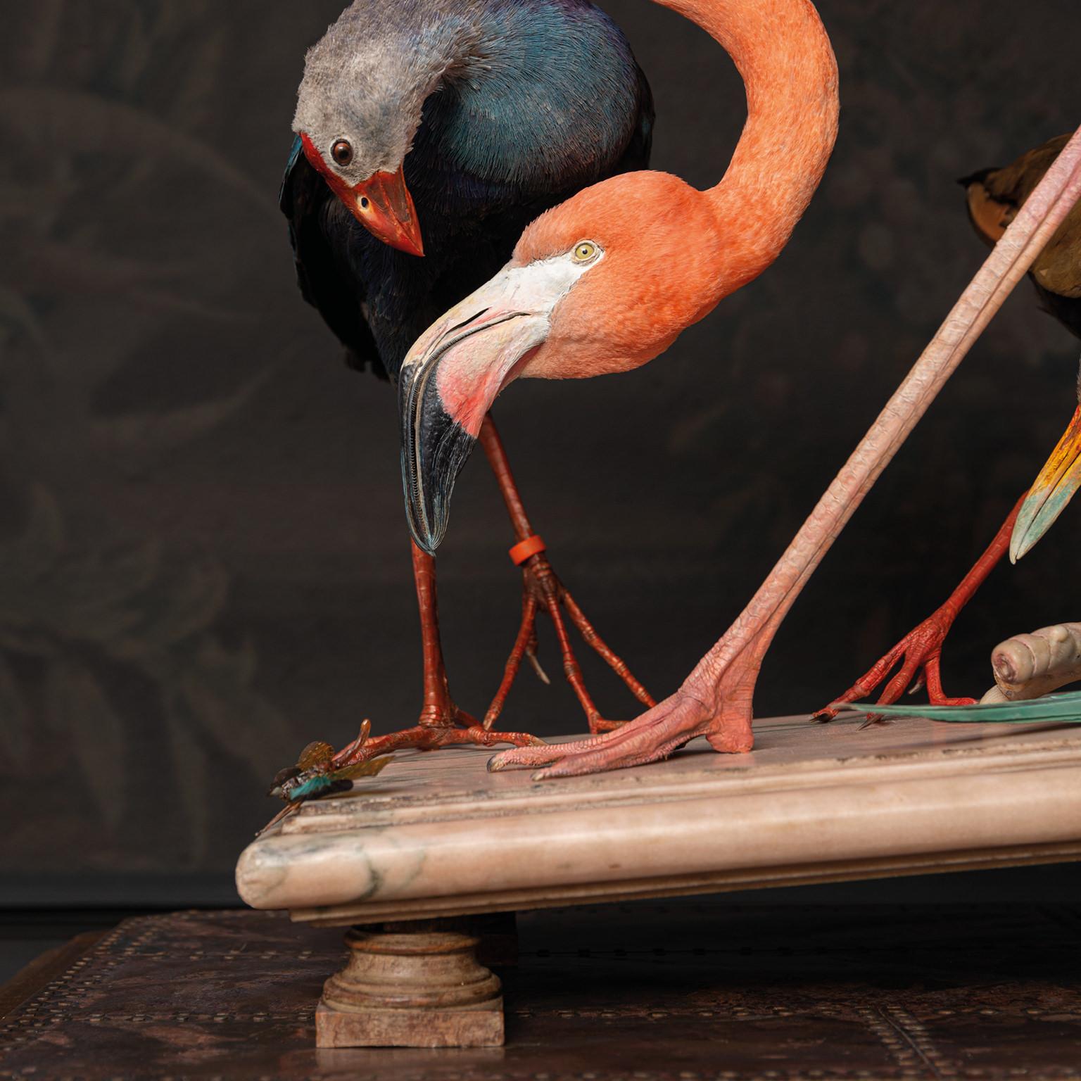 Peau d'animal Fine Taxidermie américaine Flamingo inspirée par Audubon par Sinke & Van Tongeren en vente