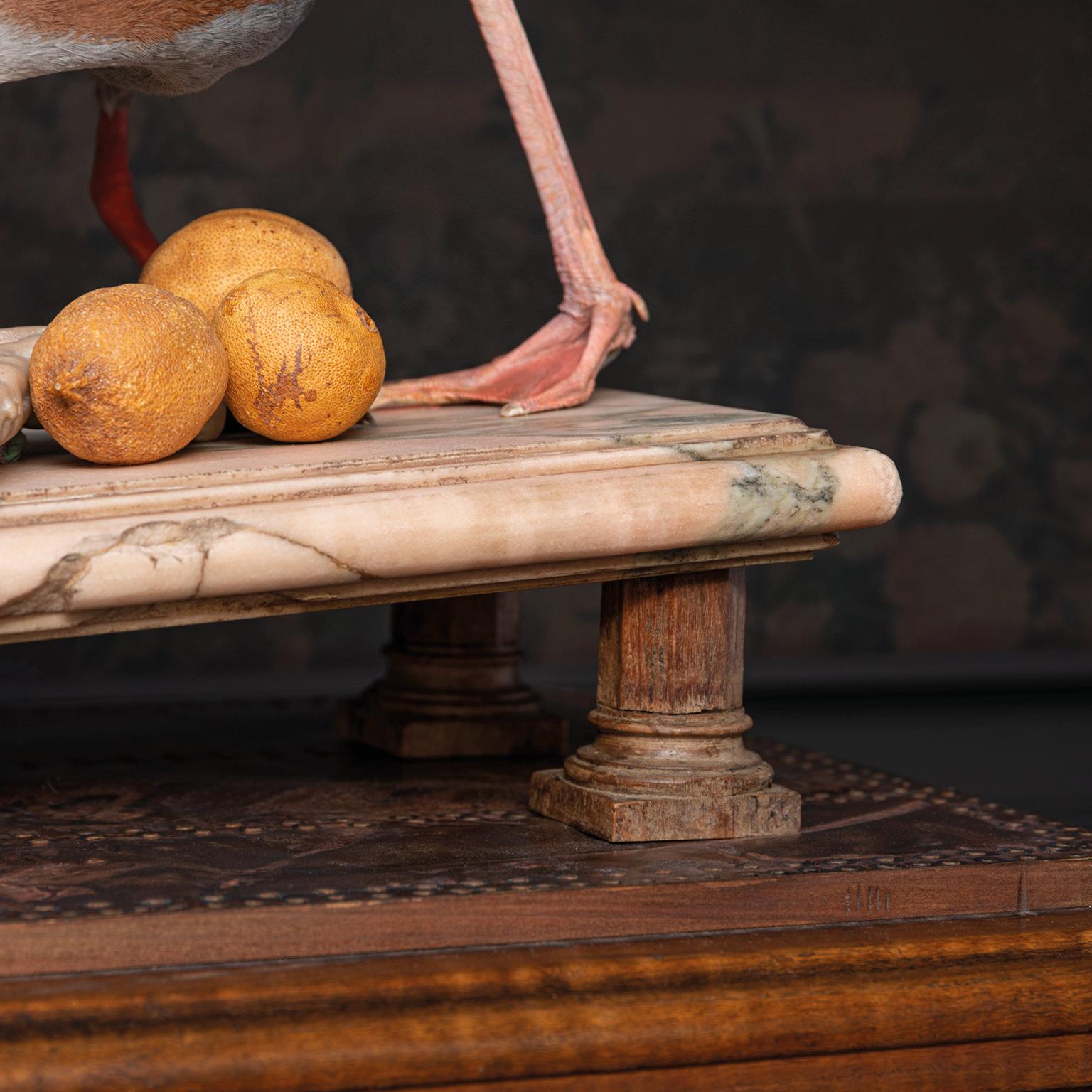 Contemporary Fine Taxidermy American Flamingo Inspired by Audubon by Sinke & Van Tongeren For Sale