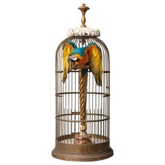 Fine Taxidermy Blue and Gold Macaw in Birdcage by Sinke & Van Tongeren