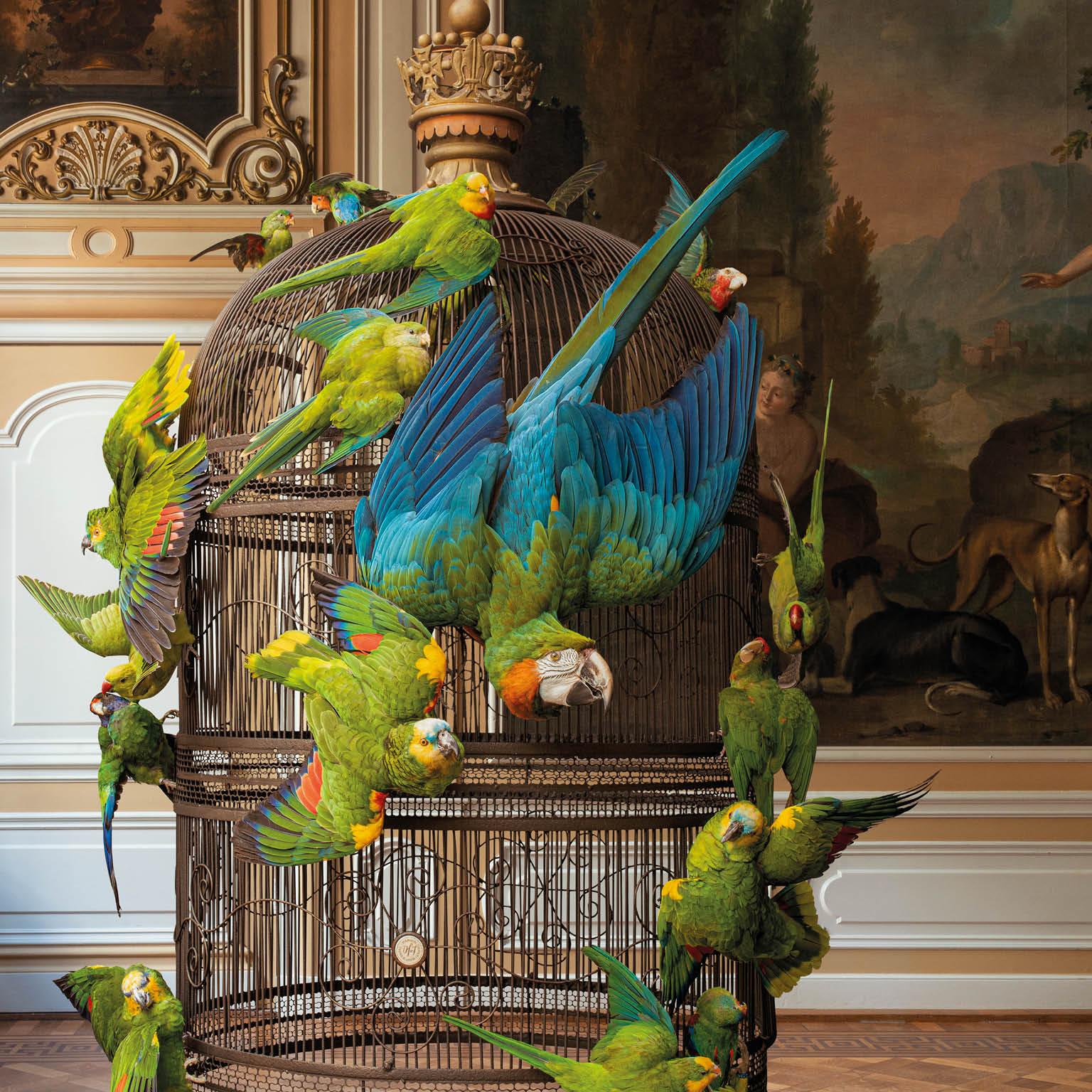 Dutch Fine Taxidermy Birdcage Extraordinaire by Sinke & Van Tongeren