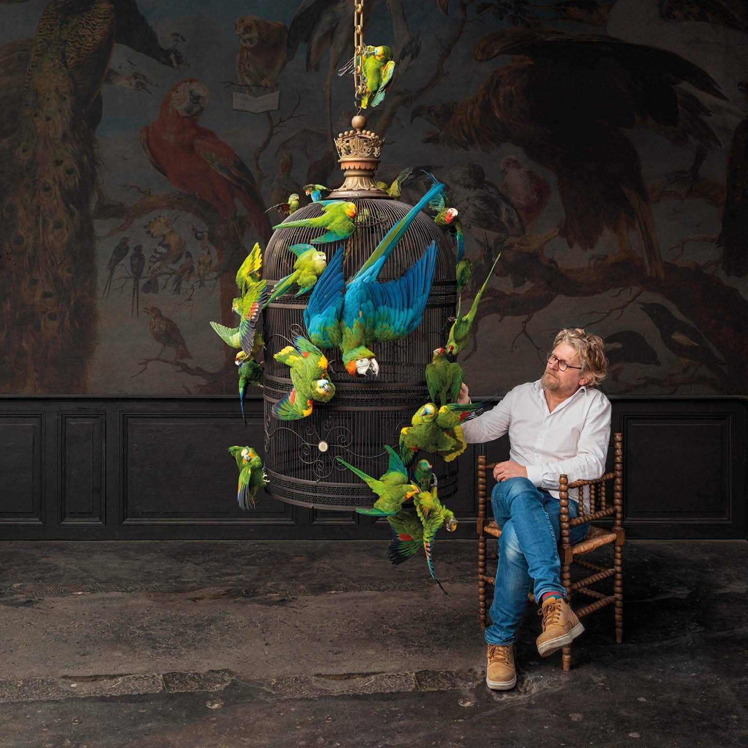 Fine Taxidermy Birdcage Extraordinaire by Sinke & Van Tongeren In New Condition In Haarlem, NL