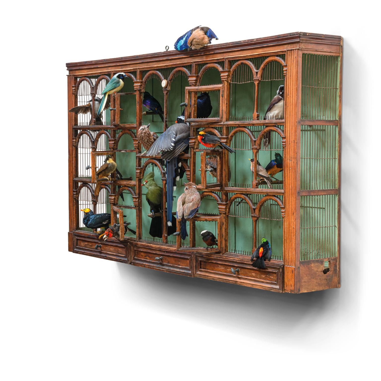 Ein riesiger französischer Vogelkäfig aus dem 19. Jahrhundert mit einer Komposition aus neunzehn fein taxidermischen Vögeln. Wir können uns vorstellen, dass dies ein erstaunliches Orchester mit schönen Melodien sein wird. Zu den Musikern gehören