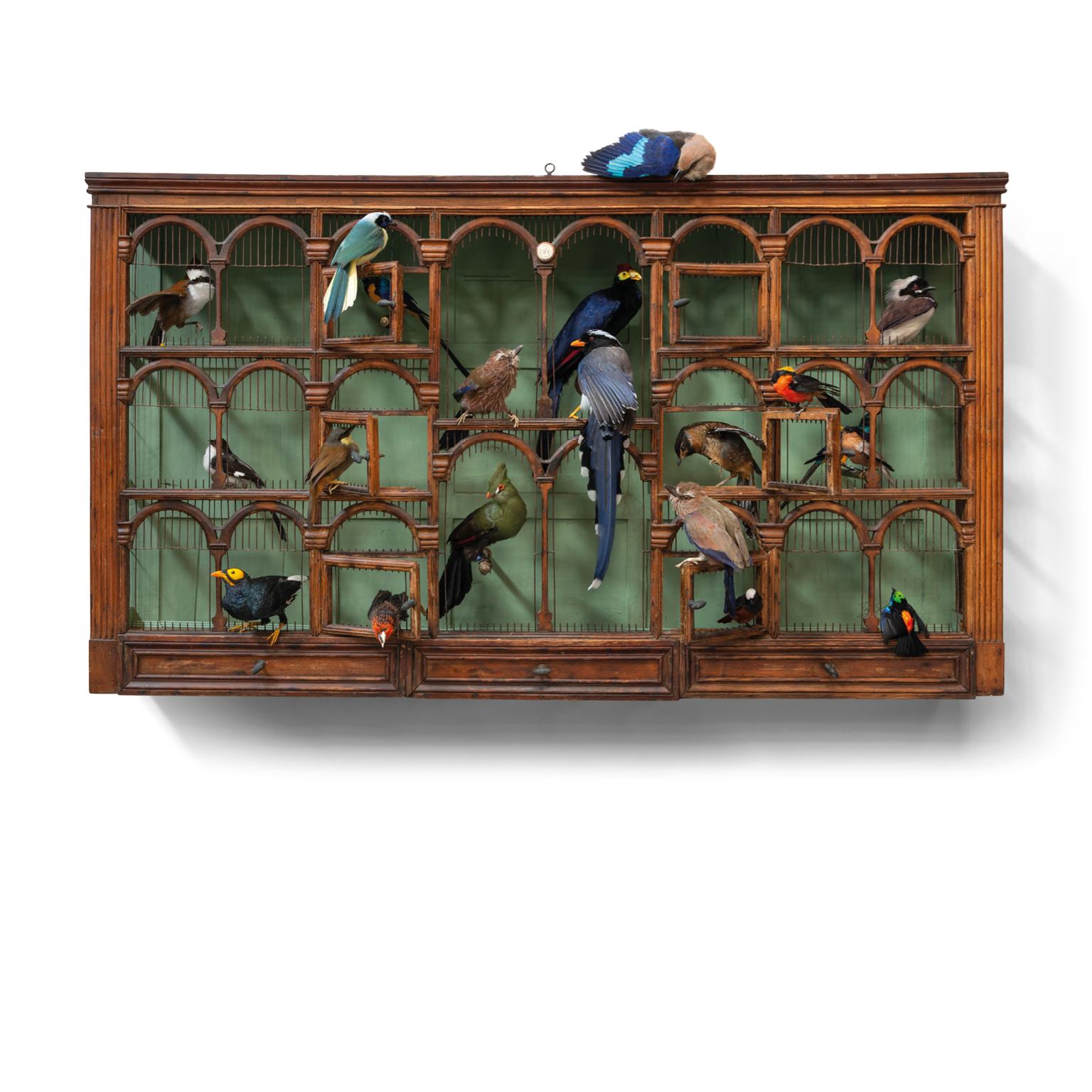 Fine Taxidermy Birdcage 'Orchestra No1' by Sinke & Van Tongeren For Sale 12