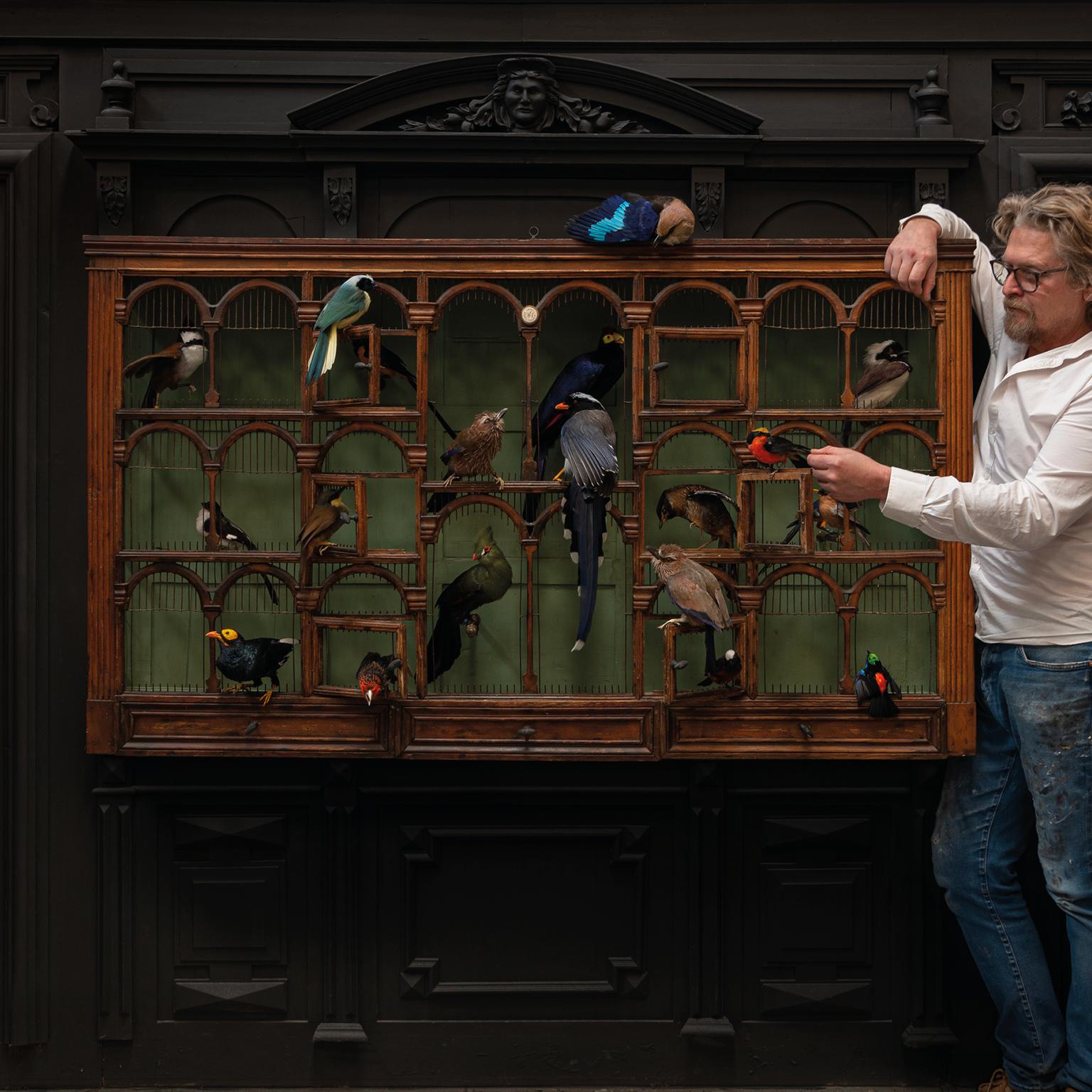 Victorian Fine Taxidermy Birdcage 'Orchestra No1' by Sinke & Van Tongeren For Sale