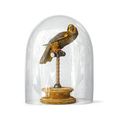 Lory di Duyvenbode in tassidermia fine di Sinke & Van Tongeren