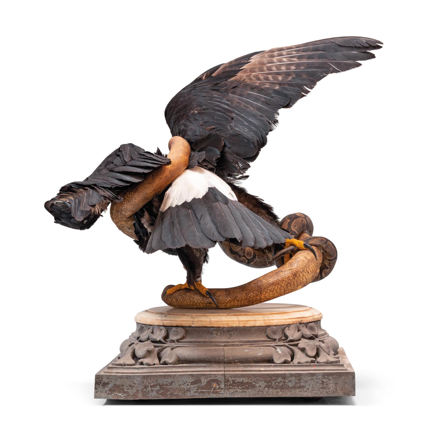 Dutch Fine Taxidermy Eagles and Snakes Duo by Sinke & Van Tongeren For Sale