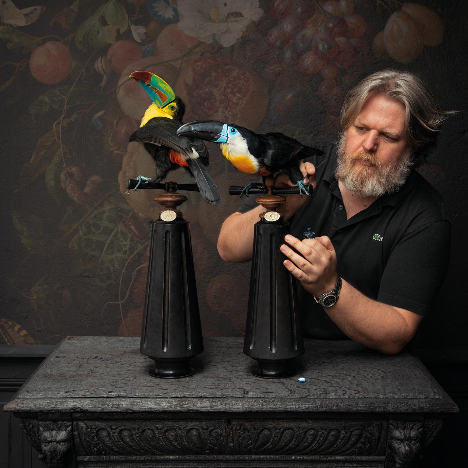 Feine Taxidermie Keel-billed Toucan von Sinke & Van Tongeren im Zustand „Neu“ im Angebot in Haarlem, NL