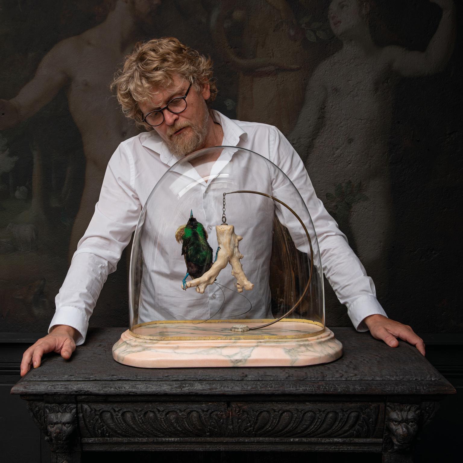 Victorien Magnifique oiseau de paradis en taxidermie par Sinke & Van Tongeren en vente