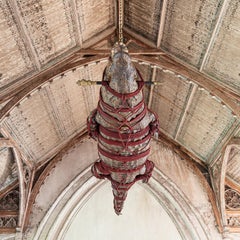 Fine Taxidermy 5 Meter Nile Crocodile by Sinke & Van Tongeren