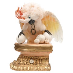 Fine Taxidermy Salmon-Crested Cockatoo by Sinke & Van Tongeren