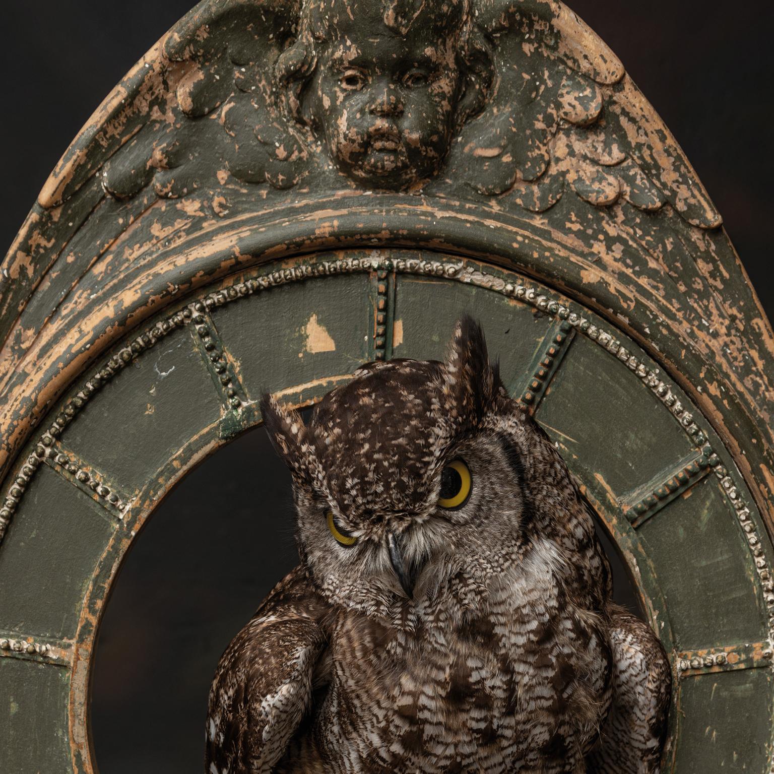 Fine Taxidermy Tower of Owls by Sinke & Van Tongeren For Sale 4