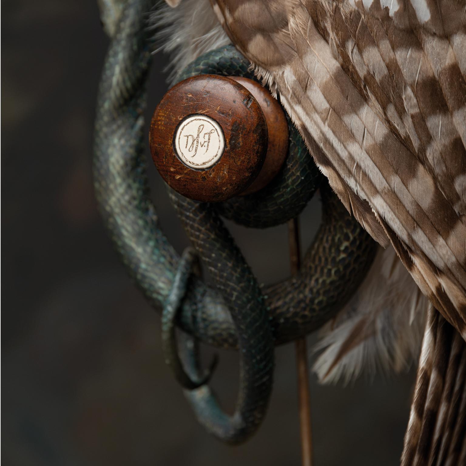 Fine Taxidermy Ural Owl & Black Mamba by Sinke & Van Tongeren 7