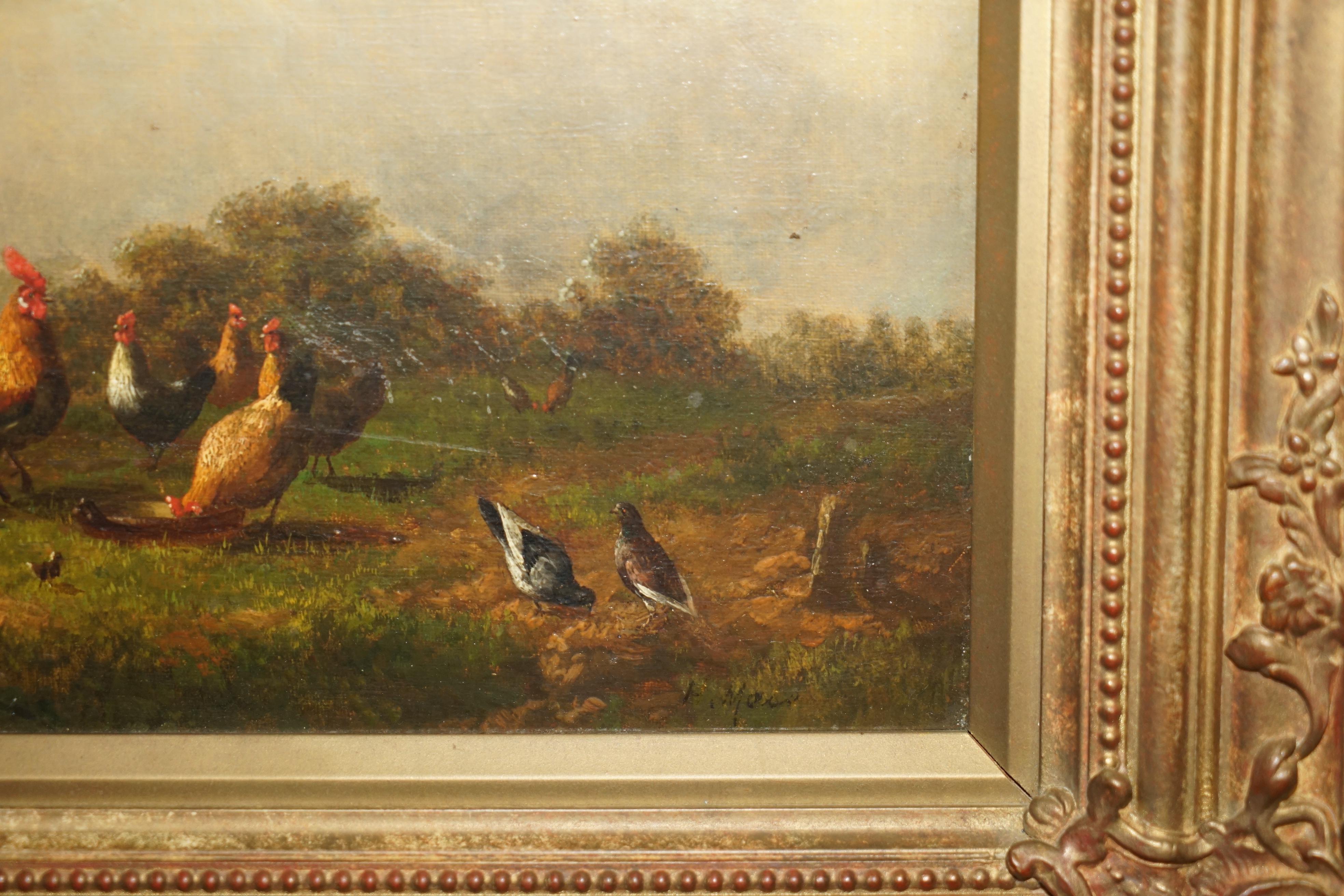 FINE VICTORIAN OIL PAINTING SIGNED MAYER CIRCA 1880 OF ROOSTERS CHICKENS & BIRDs 2