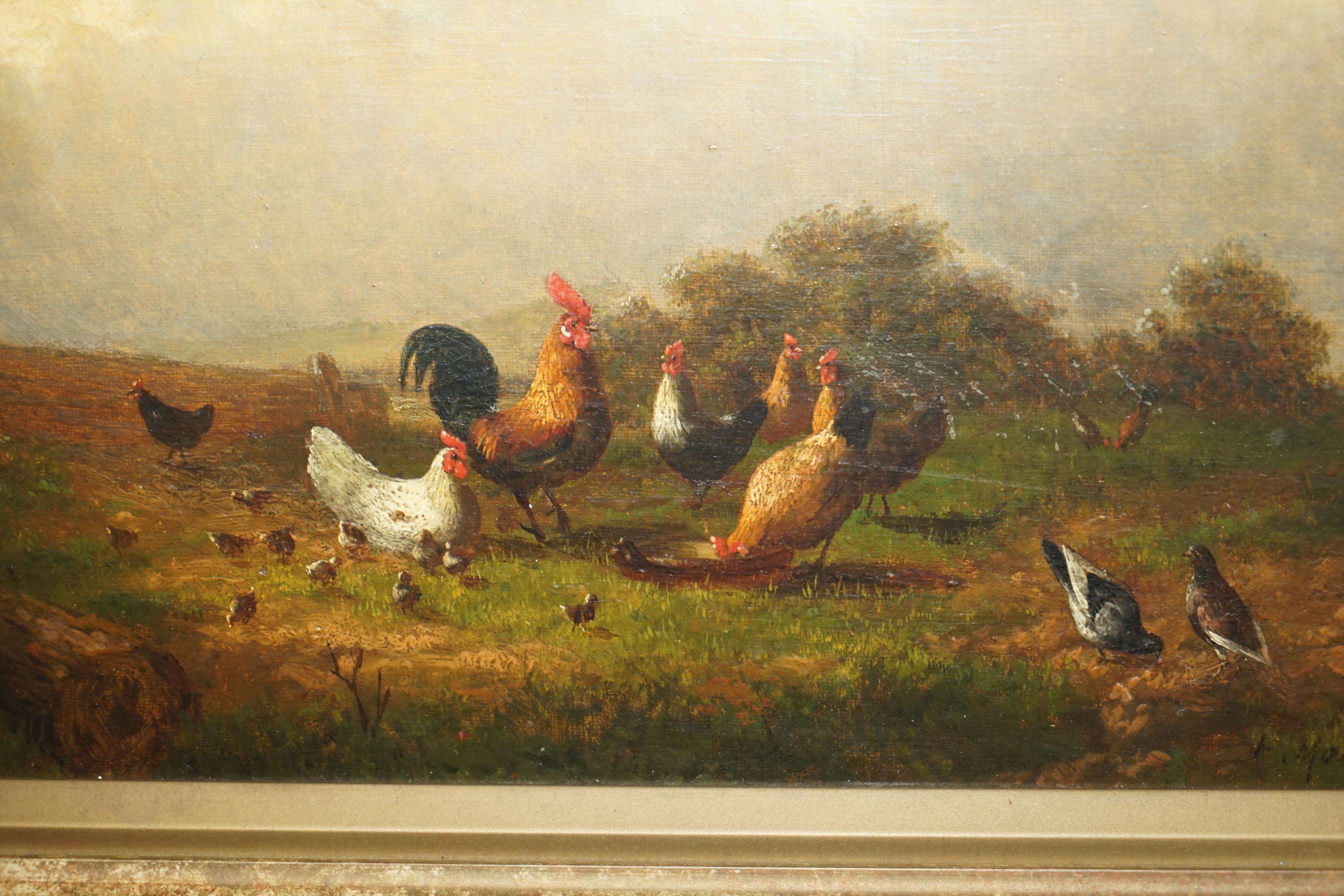 FINE VICTORIAN OIL PAINTING SIGNED MAYER CIRCA 1880 OF ROOSTERS CHICKENS & BIRDs 3