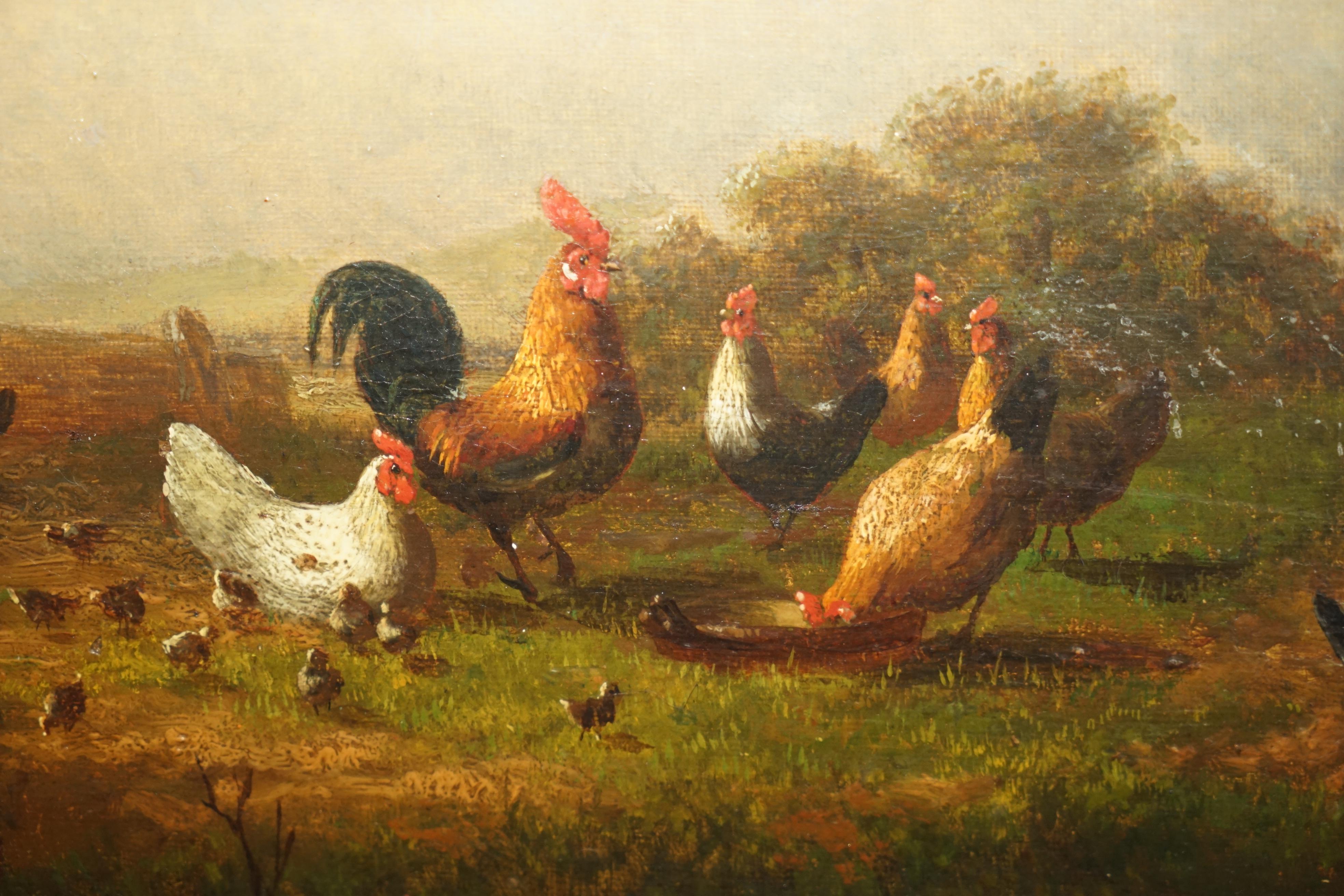 FINE VICTORIAN OIL PAINTING SIGNED MAYER CIRCA 1880 OF ROOSTERS CHICKENS & BIRDs 4