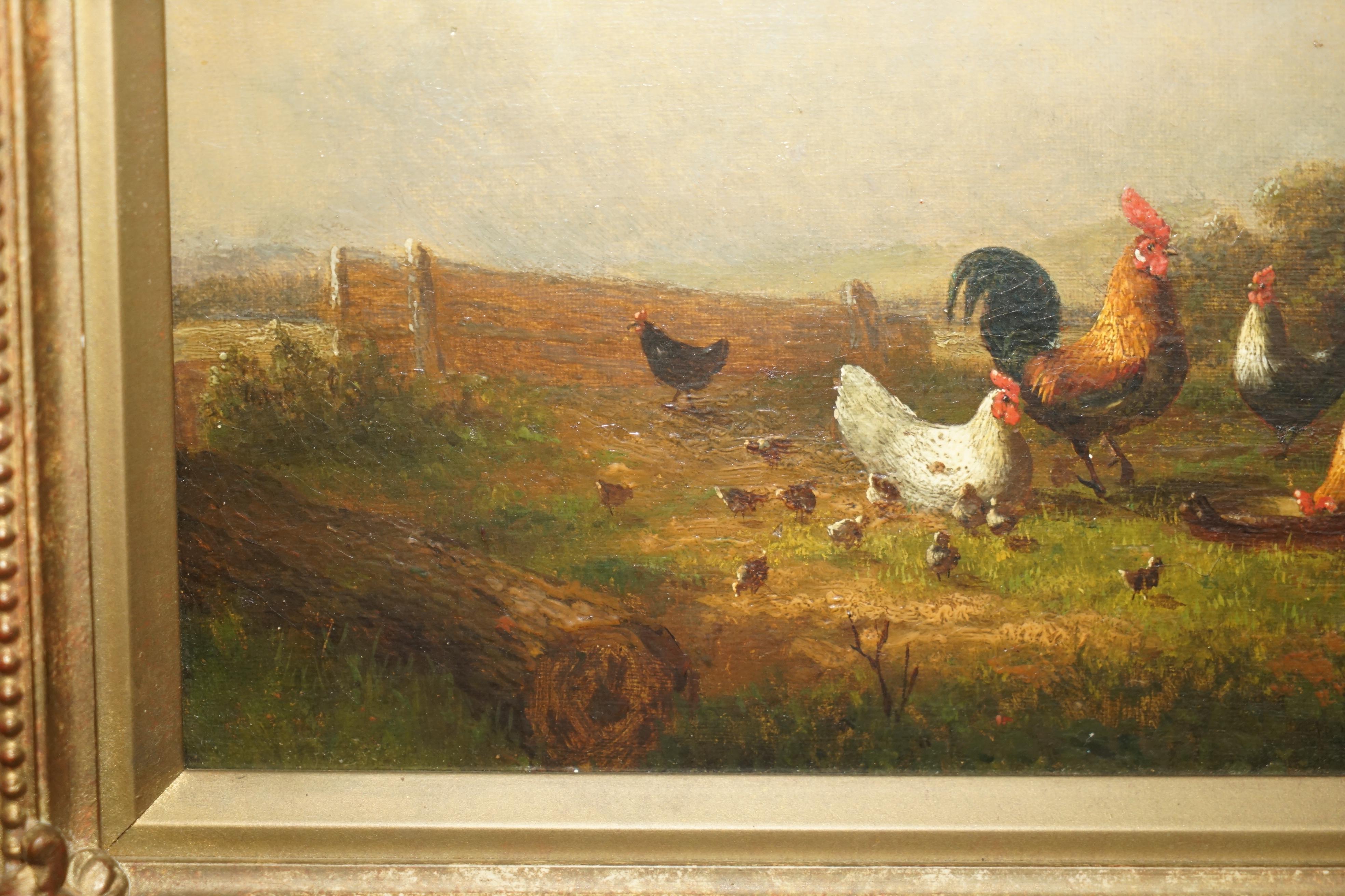 FINE VICTORIAN OIL PAINTING SIGNED MAYER CIRCA 1880 OF ROOSTERS CHICKENS & BIRDs 5