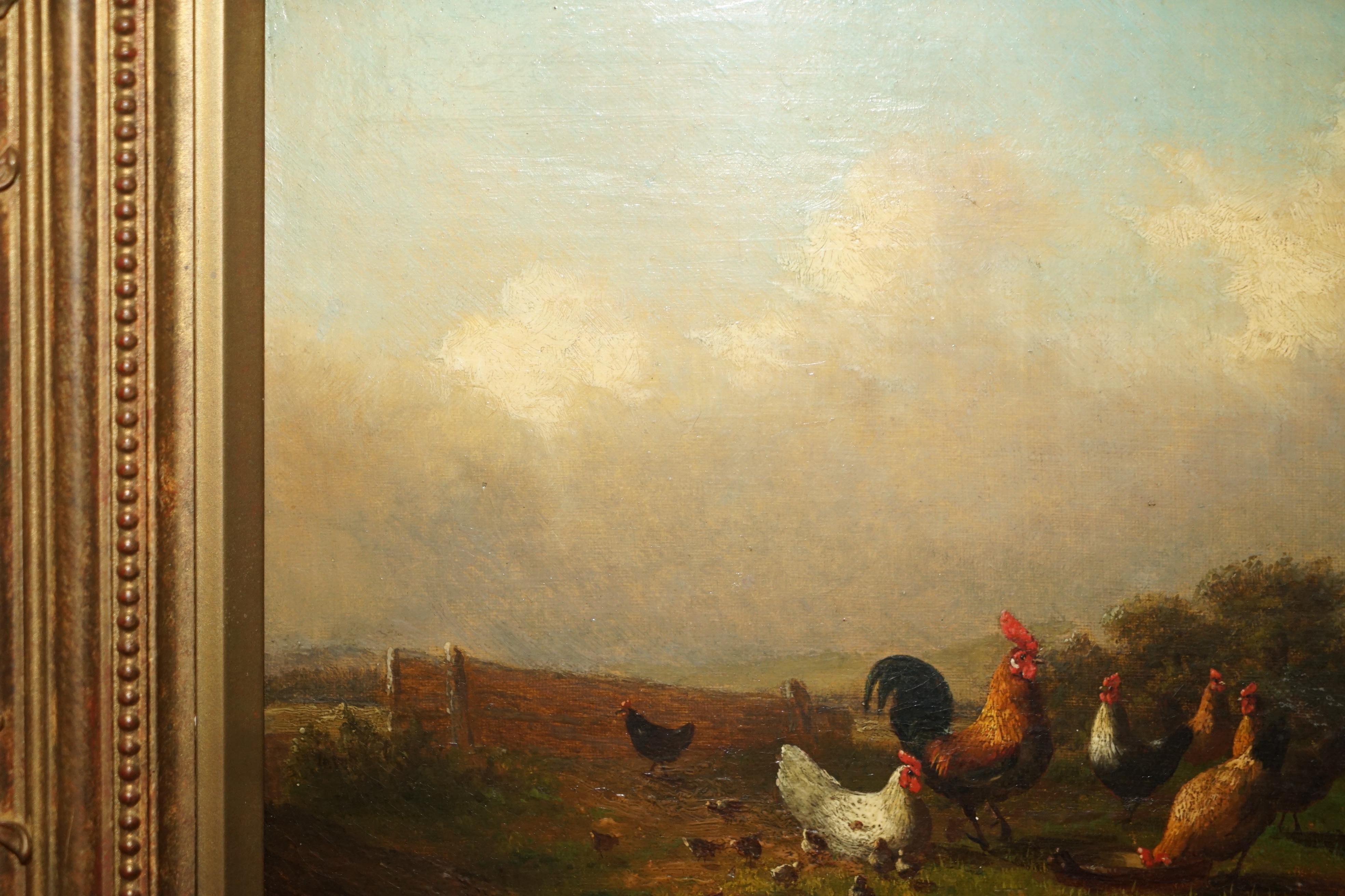 Late 19th Century FINE VICTORIAN OIL PAINTING SIGNED MAYER CIRCA 1880 OF ROOSTERS CHICKENS & BIRDs