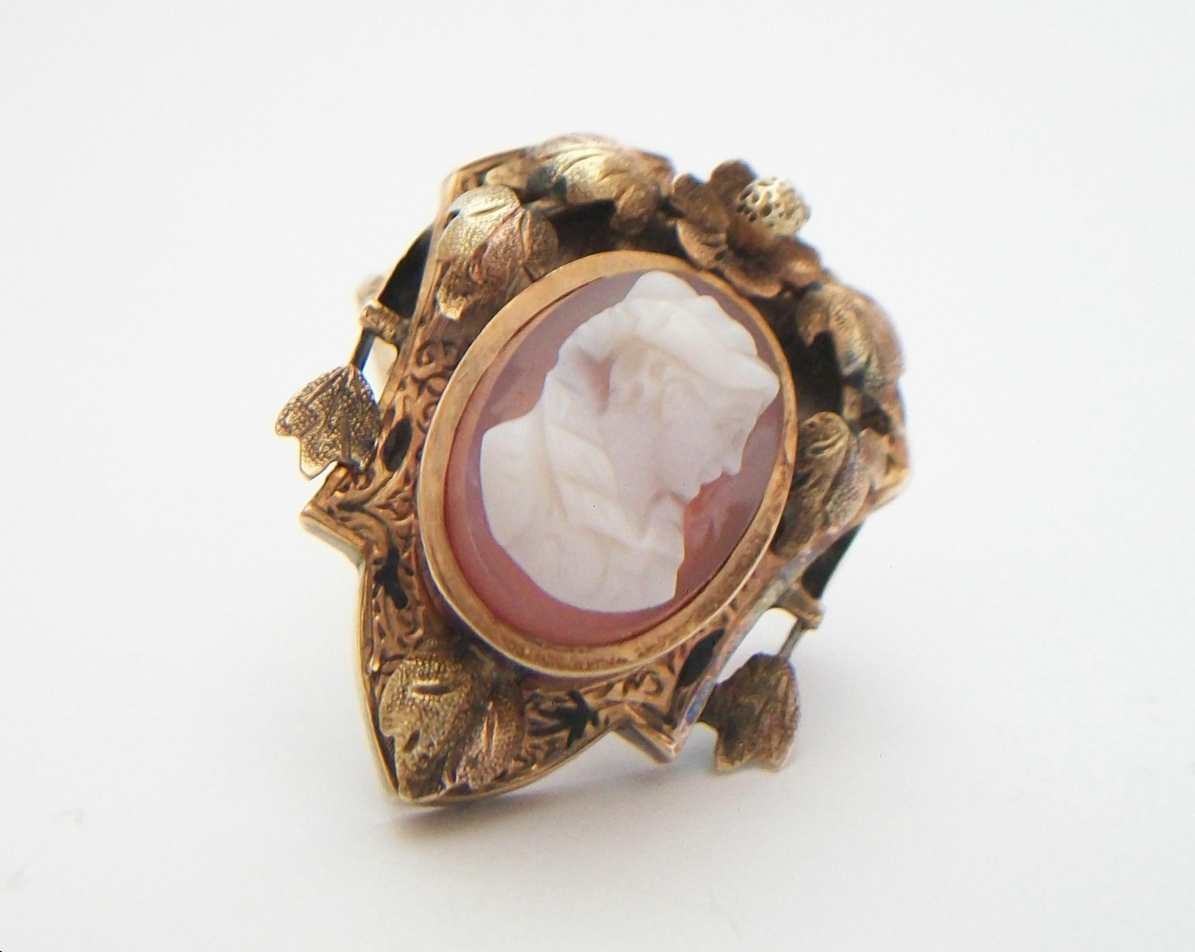 Fine Victorian Sardonyx Cameo Set in 10k Yellow Gold Frame, U.K, circa 1900 For Sale 1