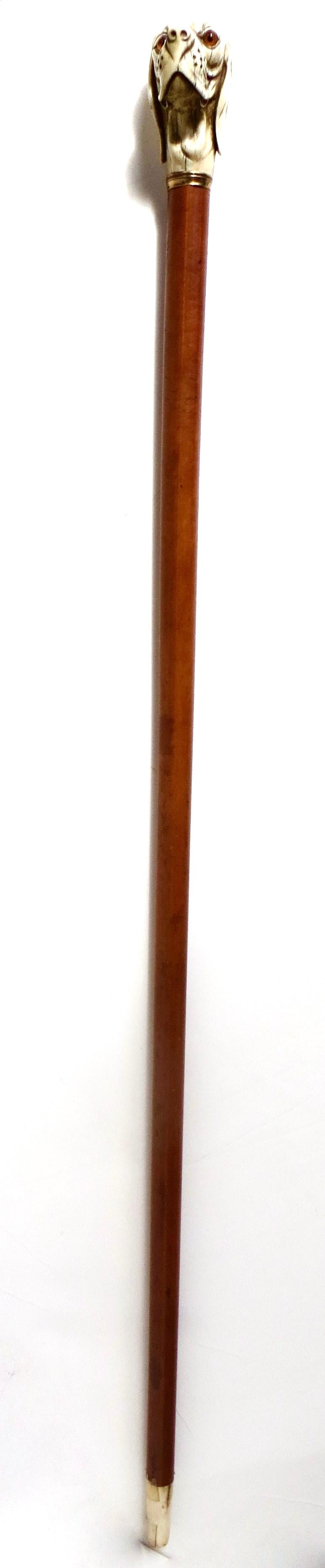 Hochwertiger Spazierstock aus Kirschholz des 19. Jahrhunderts mit geschnitztem Hundekopfgriff aus der fabelhaften Sammlung von Prinz Moritz (1926-2013), der für seine umfangreiche Kunst- und Antiquitätensammlung im Namen der Stiftung The House of