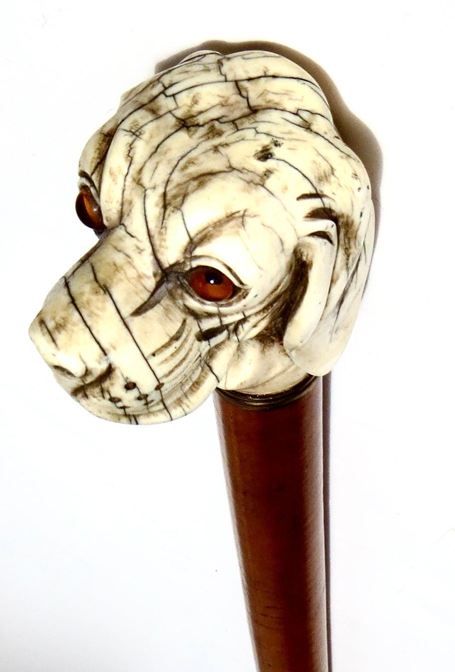 Feiner viktorianischer Spazierstock; Knochen geschnitzter Hundekopfgriff; Kirschbaumholz um 1880 (Viktorianisch) im Angebot