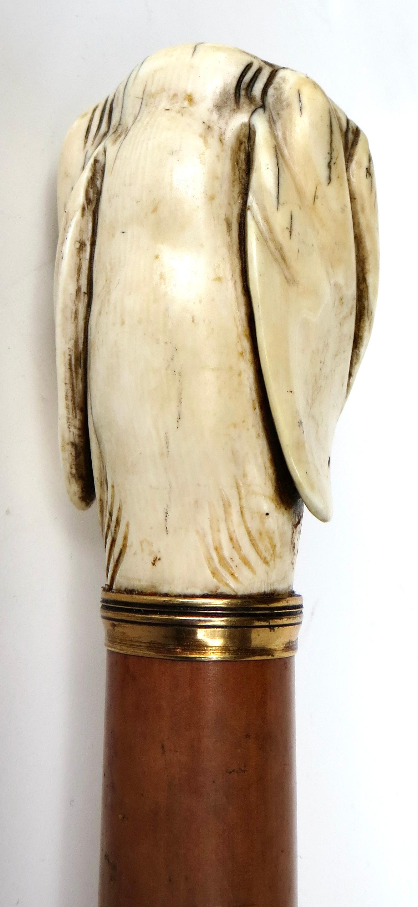 Feiner viktorianischer Spazierstock; Knochen geschnitzter Hundekopfgriff; Kirschbaumholz um 1880 (Spätes 19. Jahrhundert) im Angebot
