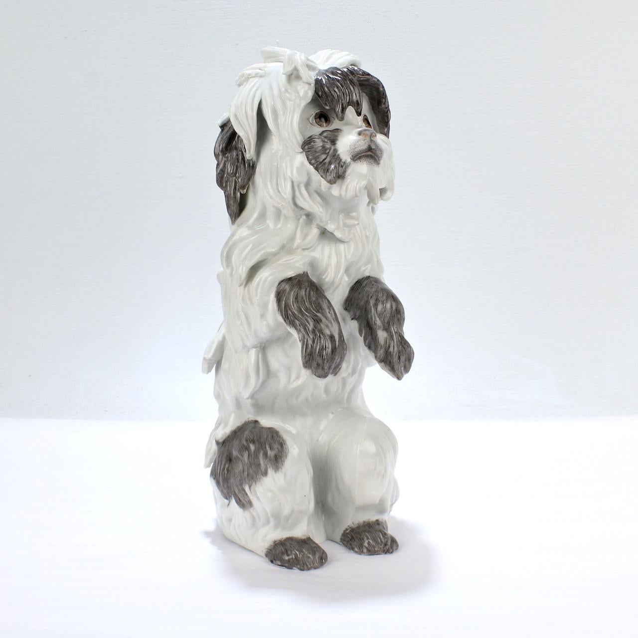 A fine Samson porcelain model of a Bolognese dog.

Modeled after the figurines that Kaendler designed for Meissen in 18th century.

A classic form that is always in style!

The reverse has a blue underglaze factory mark for Samson & Cie