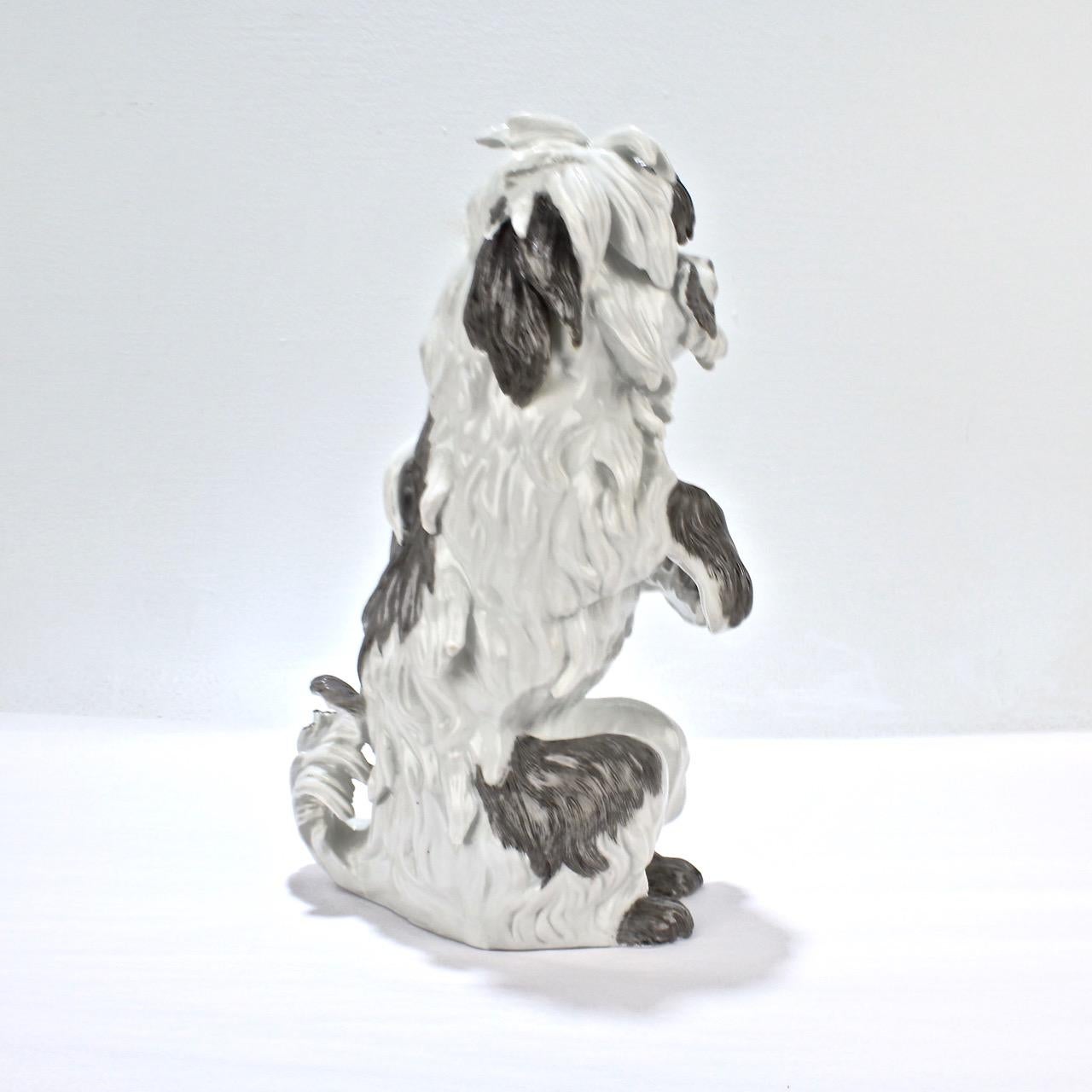 Français Fine figurine vintage de chien bolognais ou bichon en porcelaine de Samson en vente