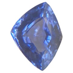 Fine Vivid Blue Ceylon Sapphire 1.09ct Rare Fancy Kite Cut Loose Gem