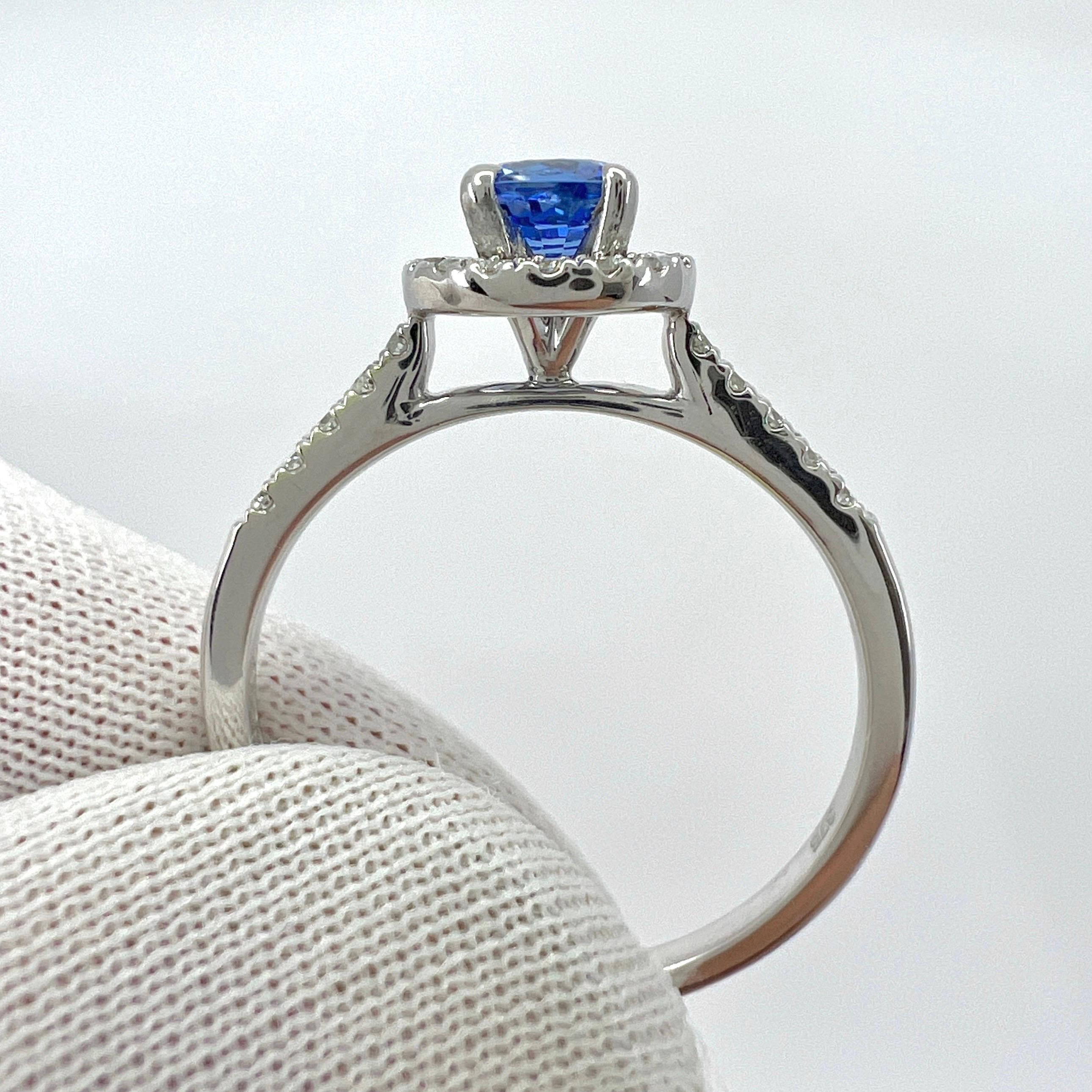 Fine Vivid Blue Round Cut Ceylon Sapphire Diamond White Gold Halo Cocktail Ring For Sale 2