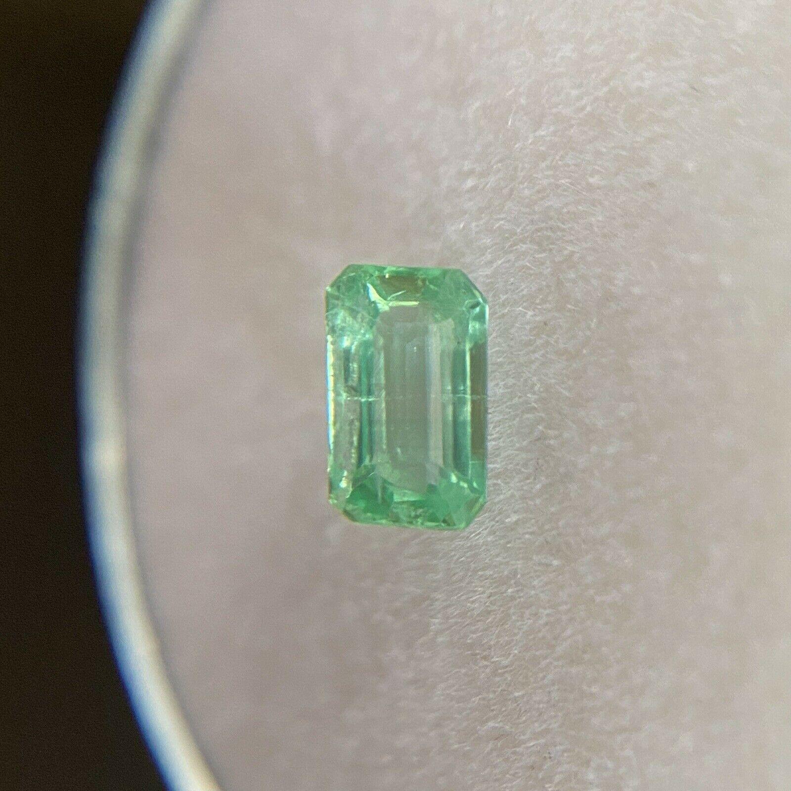 Women's or Men's Fine Vivid Green Natural Emerald 0.35ct Rare Loose Emerald Octagon Cut Gemstone