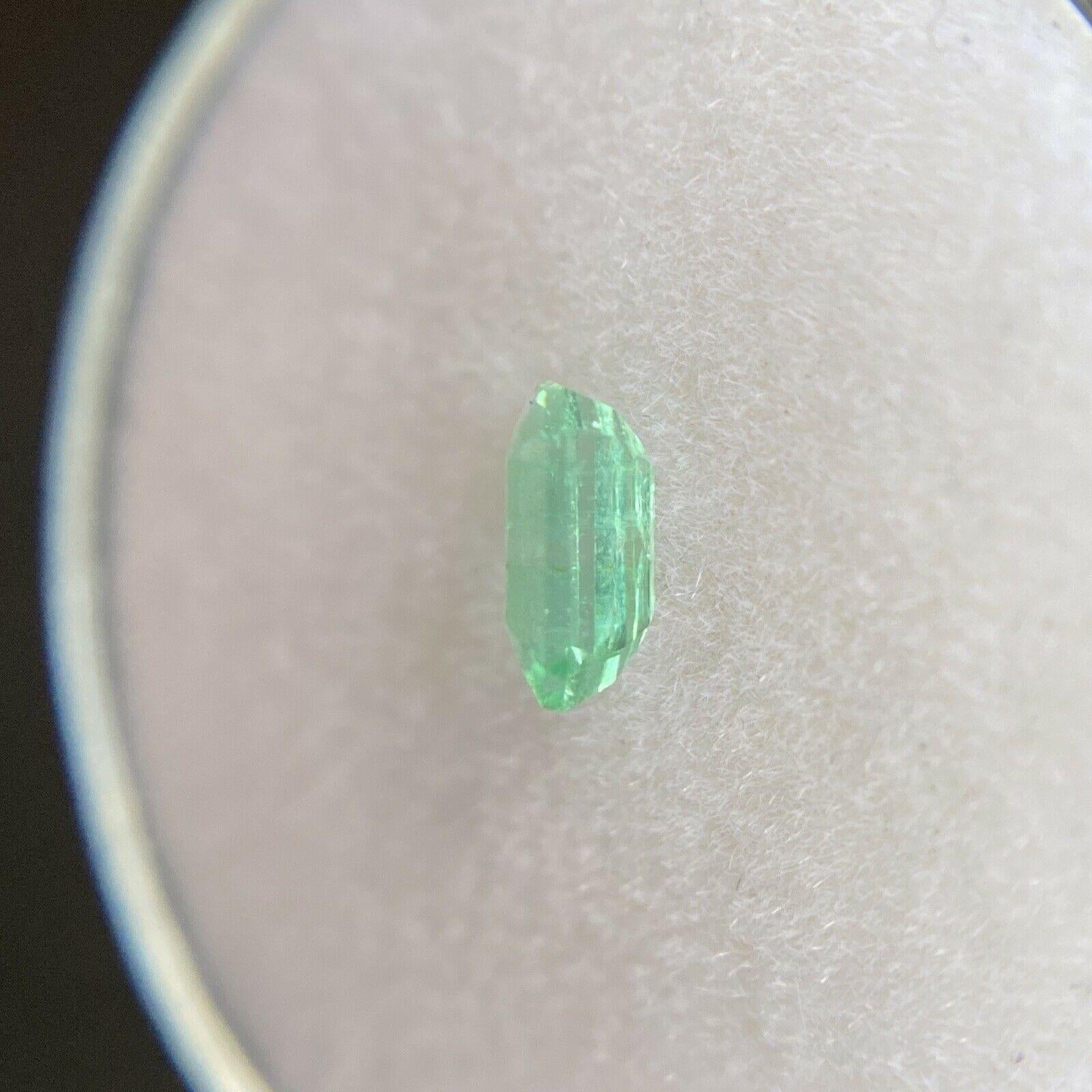Fine Vivid Green Natural Emerald 0.35ct Rare Loose Emerald Octagon Cut Gemstone 1
