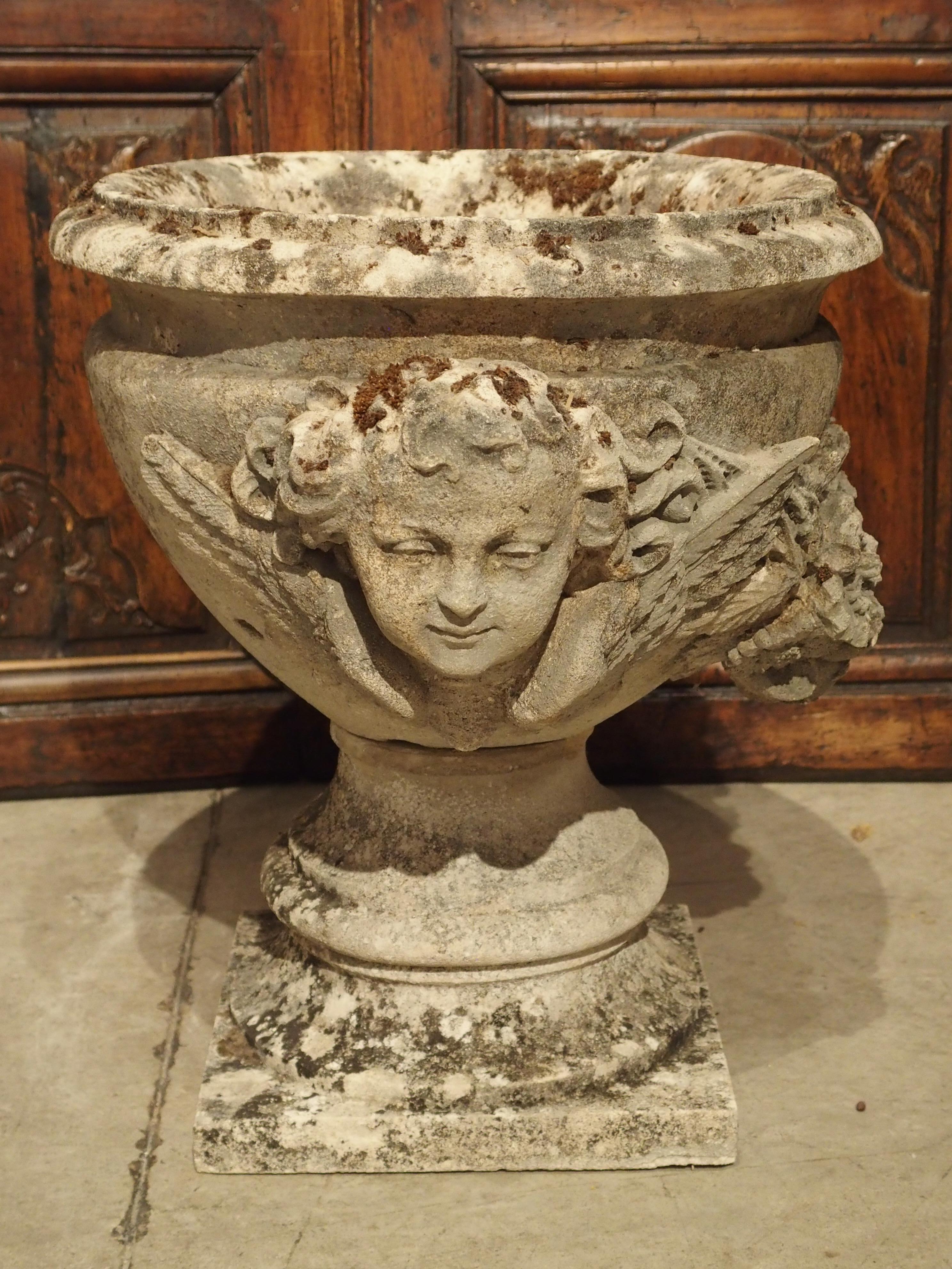 Finely Carved Antique Limestone Jardiniere Planter from France, Circa 1800 3