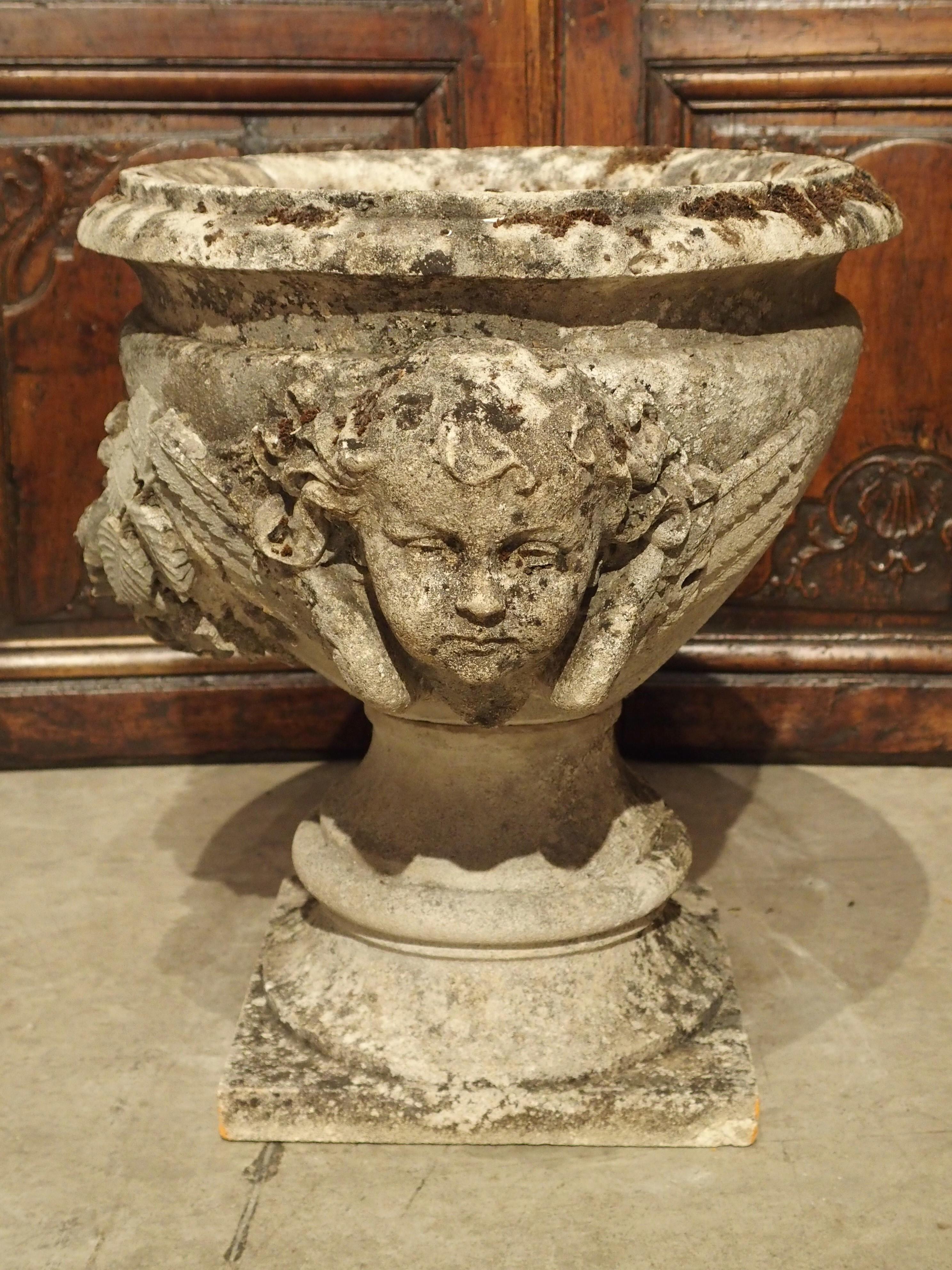 Finely Carved Antique Limestone Jardiniere Planter from France, Circa 1800 9