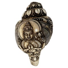 Finely Carved Old Tibetan Buddhist Conch Shell