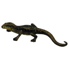 Finely chiselled Viennese bronze salamander