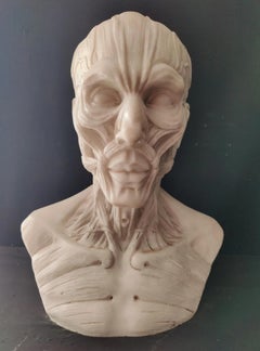 Busto anatomico finemente dettagliato tratto dal modello di Houdon - H 60 cm - Marmo di Carrara