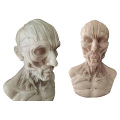 Busto anatomico finemente dettagliato tratto dal modello di Houdon - H 60 cm - Marmo di Carrara