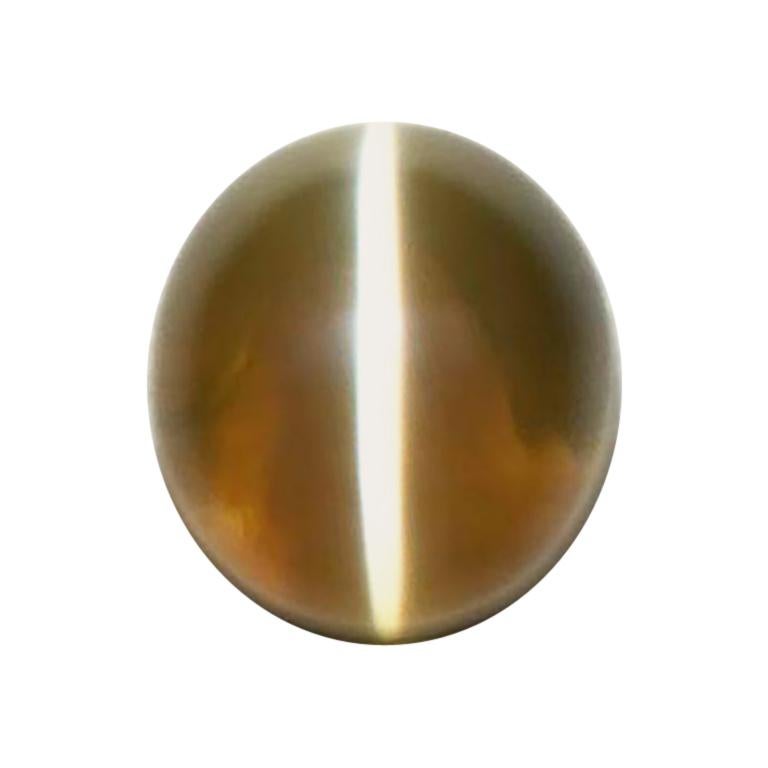 Finest Cats Eye Chrysoberyl in the World