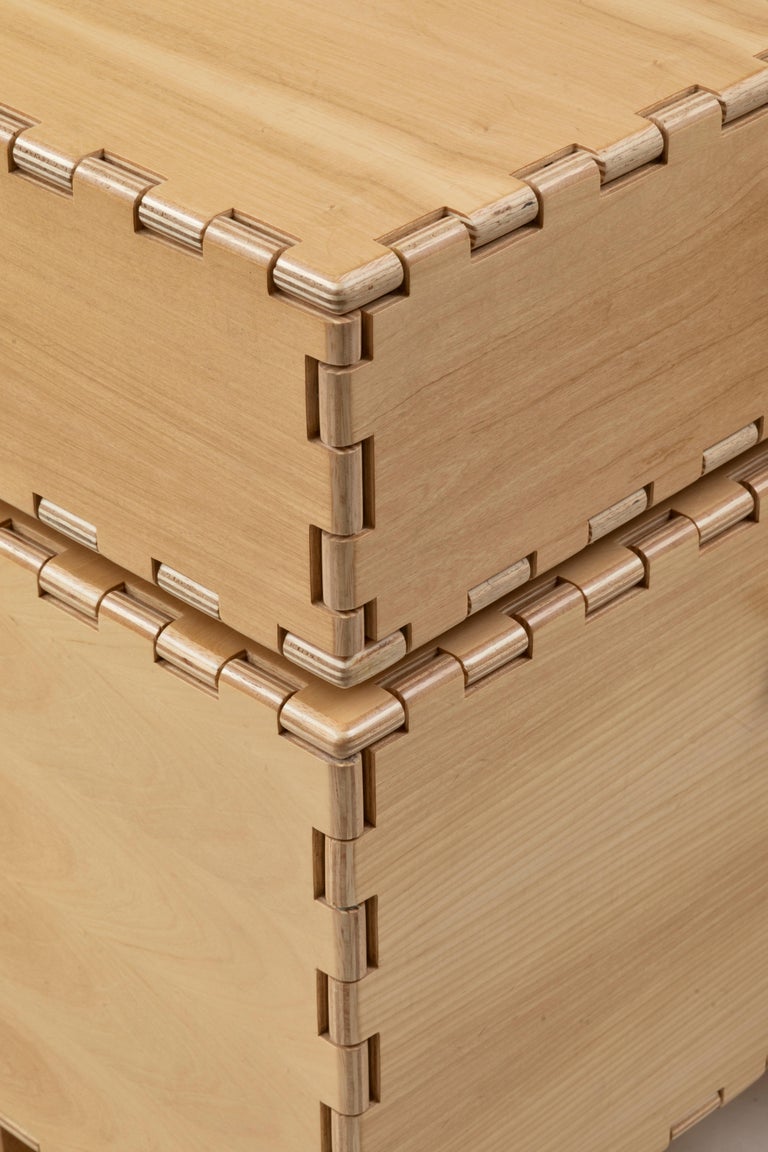 Finest Handcrafted Interlocking Wood Panels with Display Box