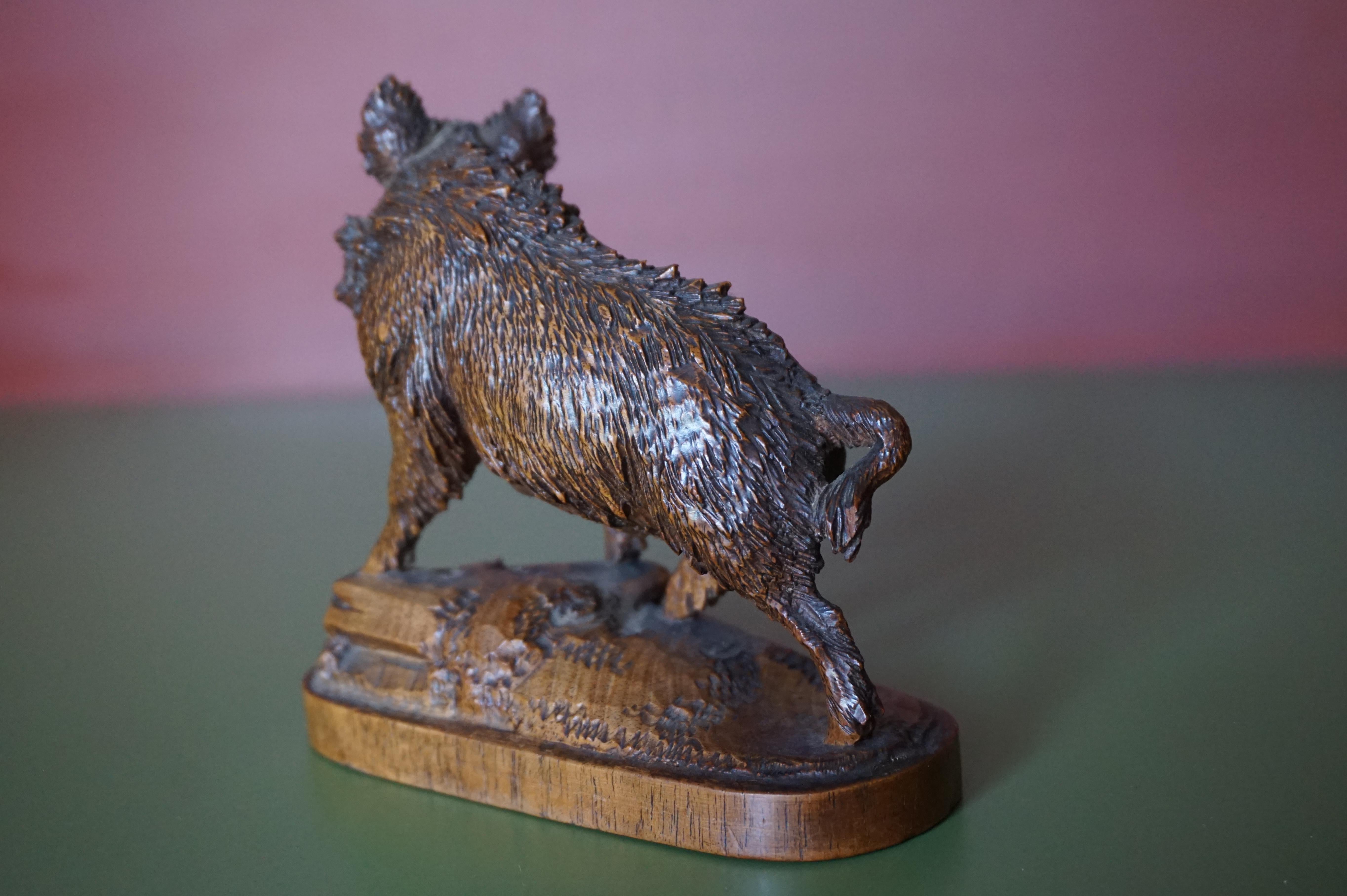 Finest Quality, Antique Hand Carved Nutwood Swiss Black Forest Boar Sculpture 5