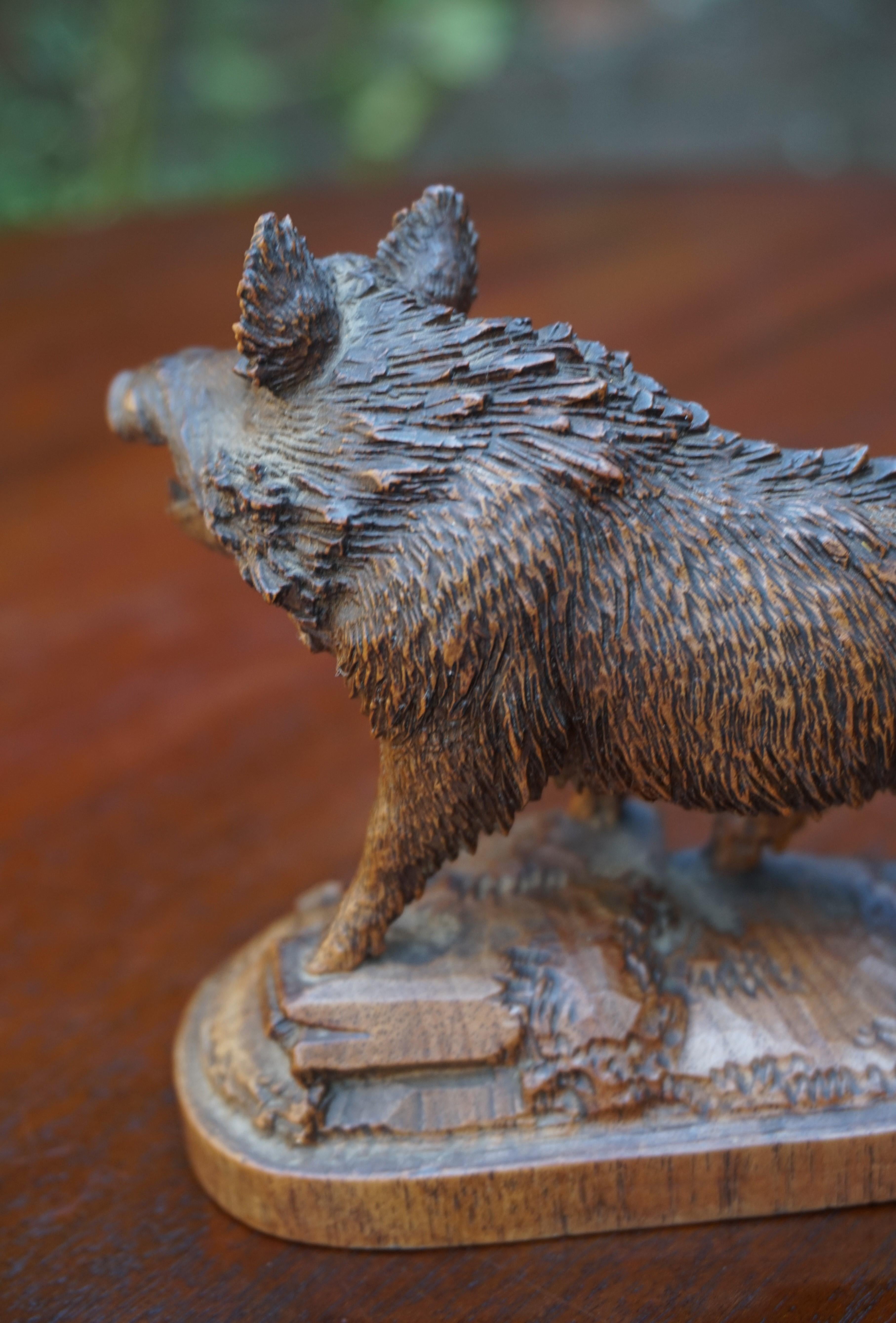 Finest Quality, Antique Hand Carved Nutwood Swiss Black Forest Boar Sculpture 11