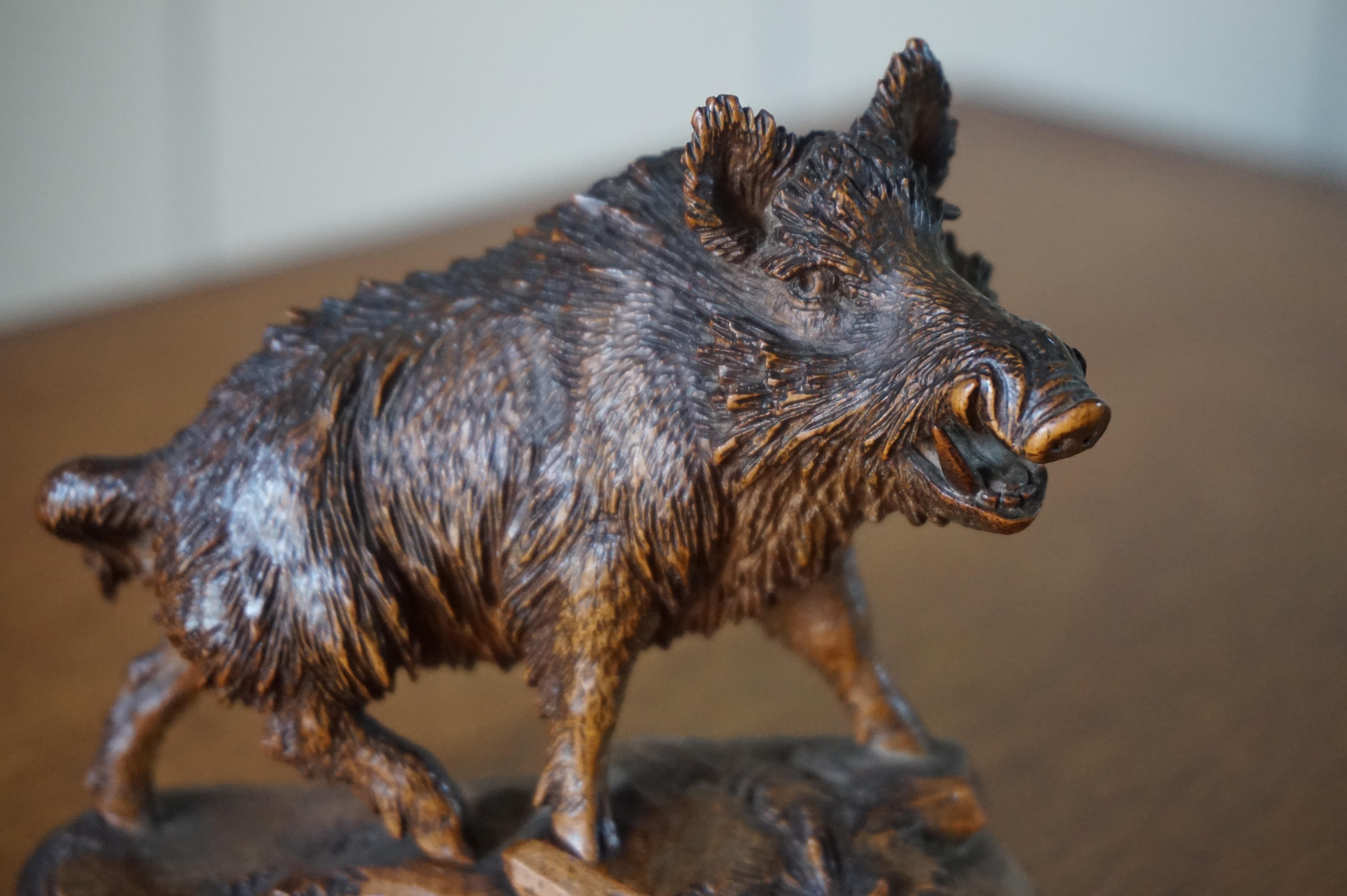 Finest Quality, Antique Hand Carved Nutwood Swiss Black Forest Boar Sculpture 14