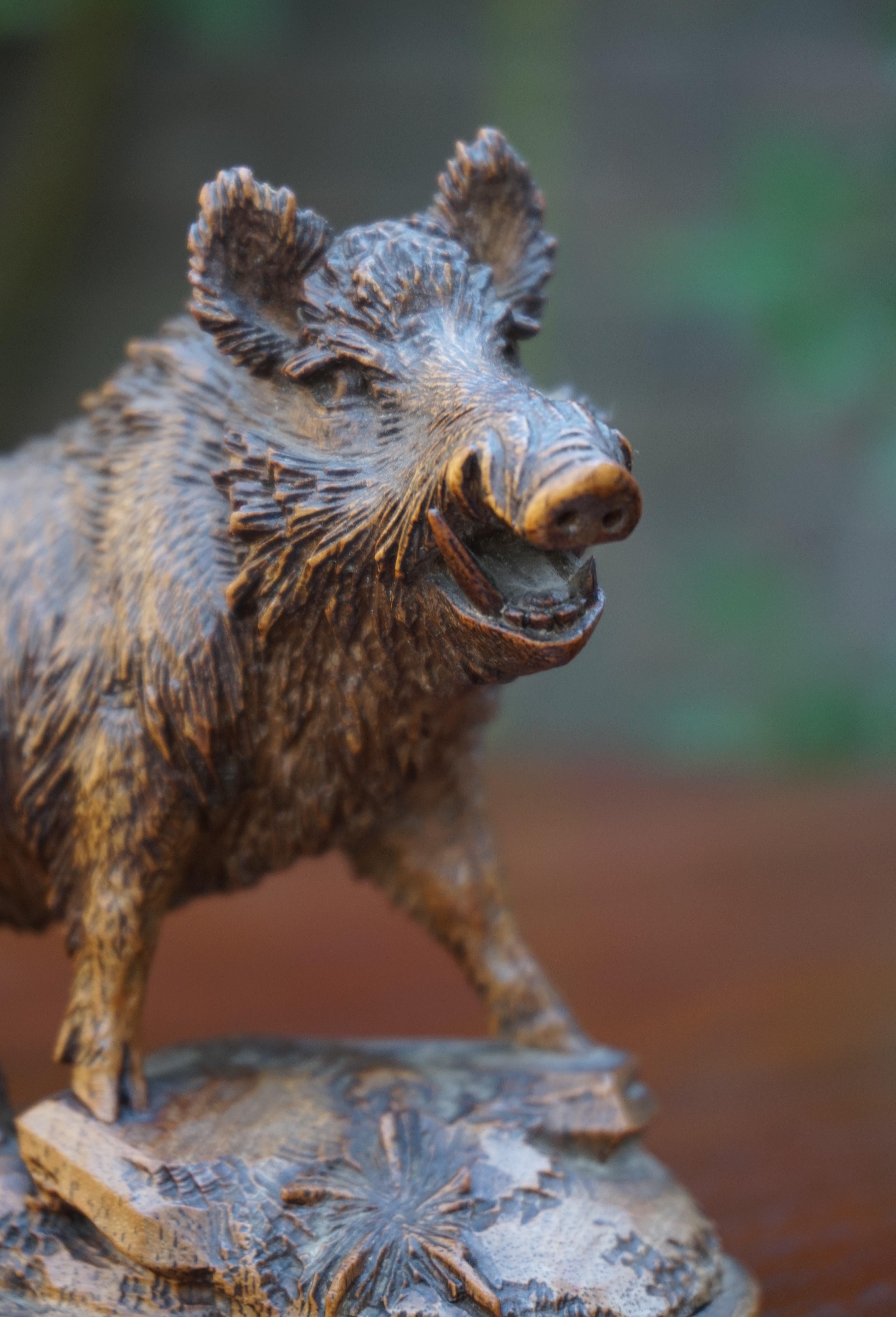 Finest Quality, Antique Hand Carved Nutwood Swiss Black Forest Boar Sculpture 1